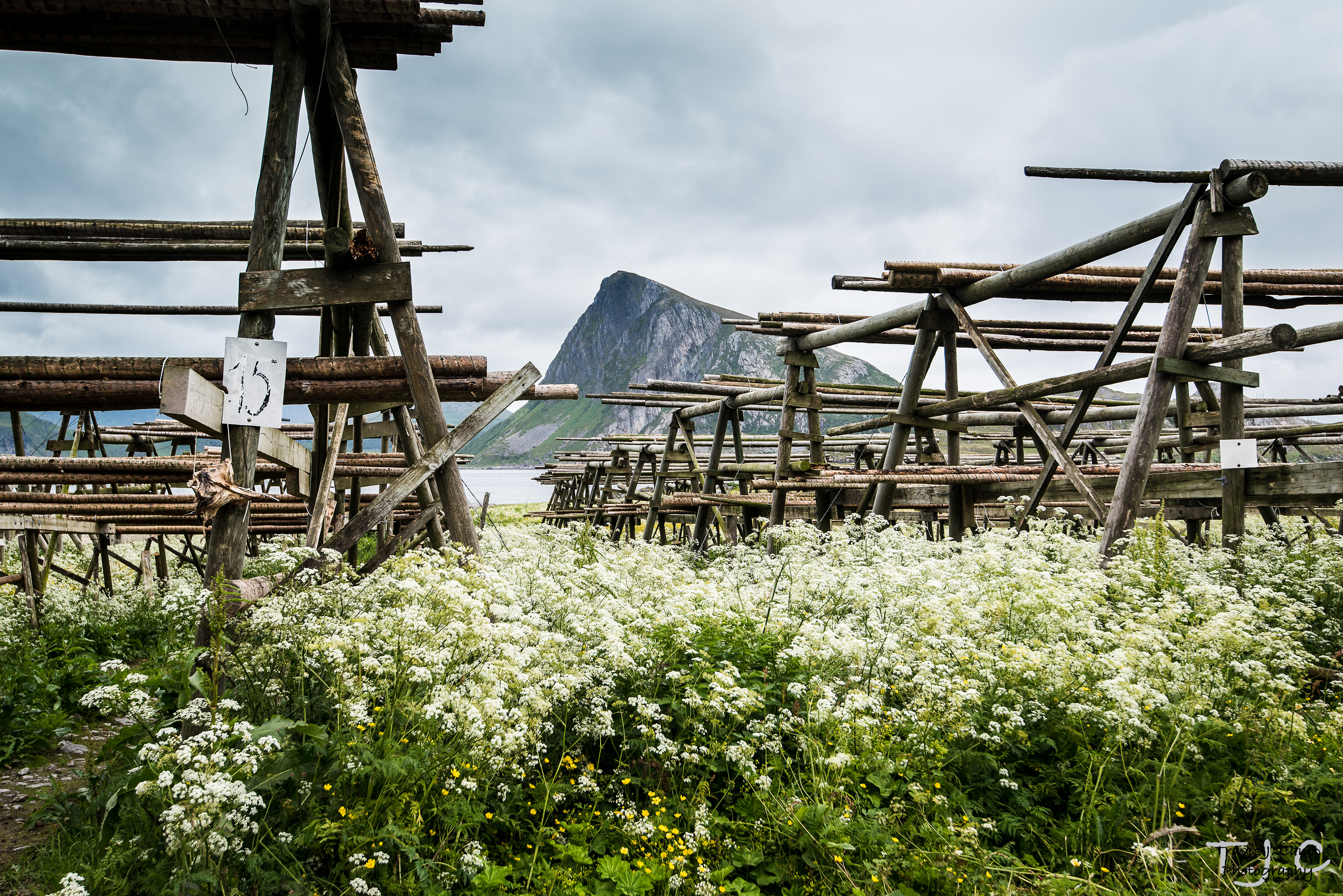 Nusfjord to Nesland, Norway