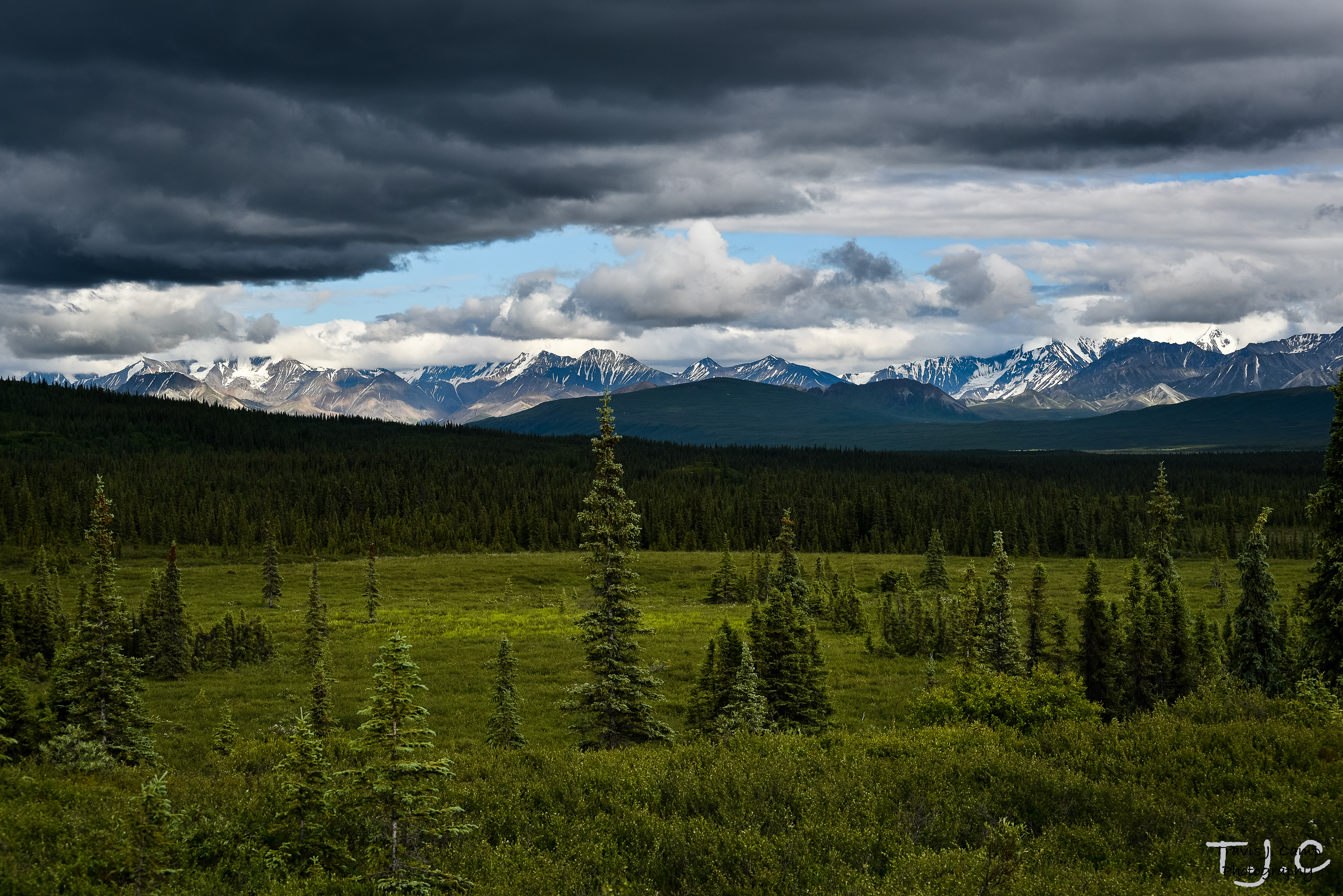 Denali National Park