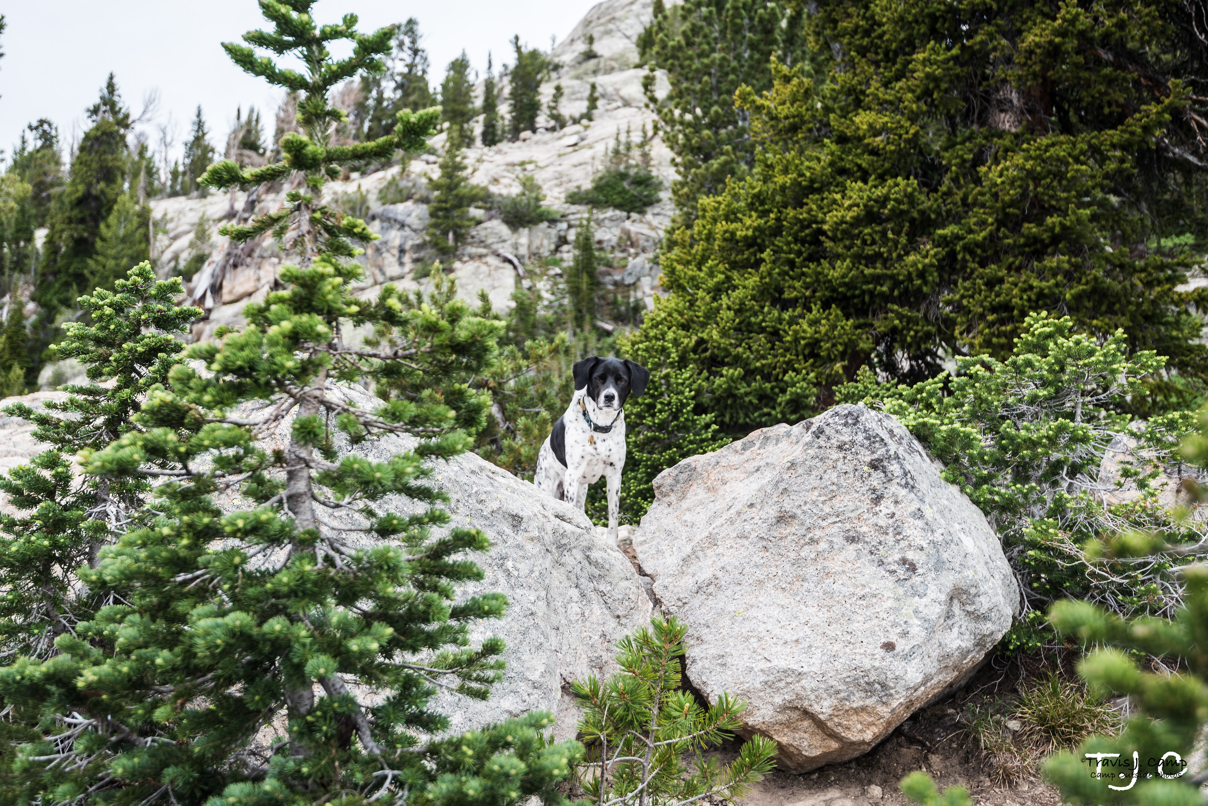Coee in Wyoming