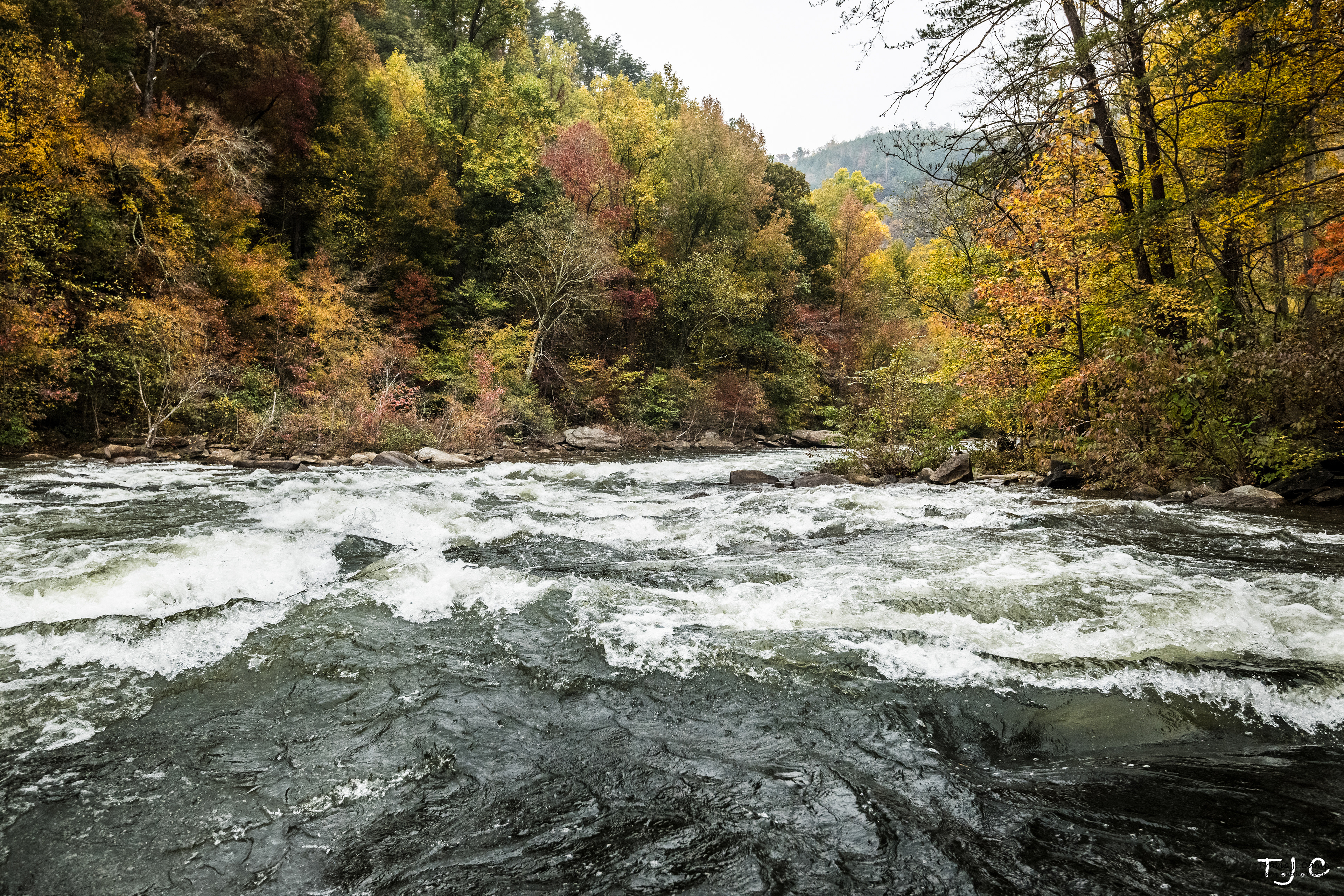 Double Trouble Rapid