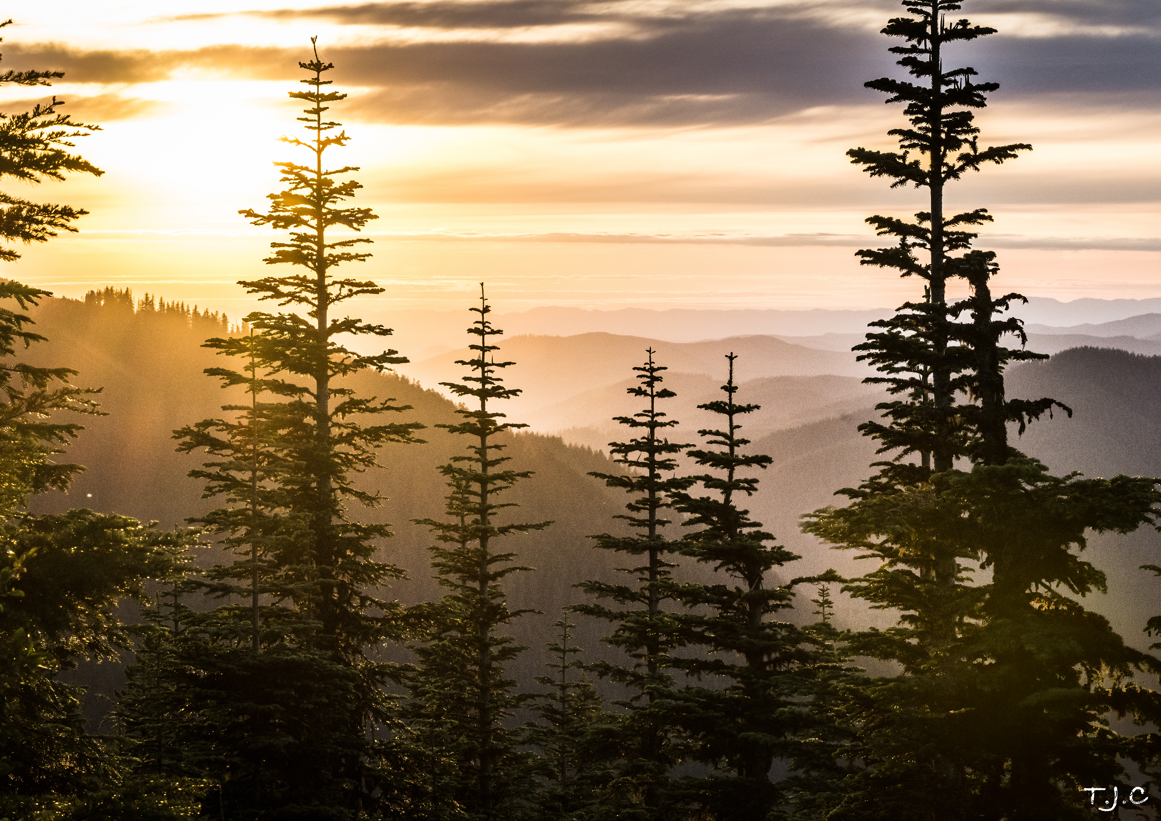 Grass Mountain, Oregon