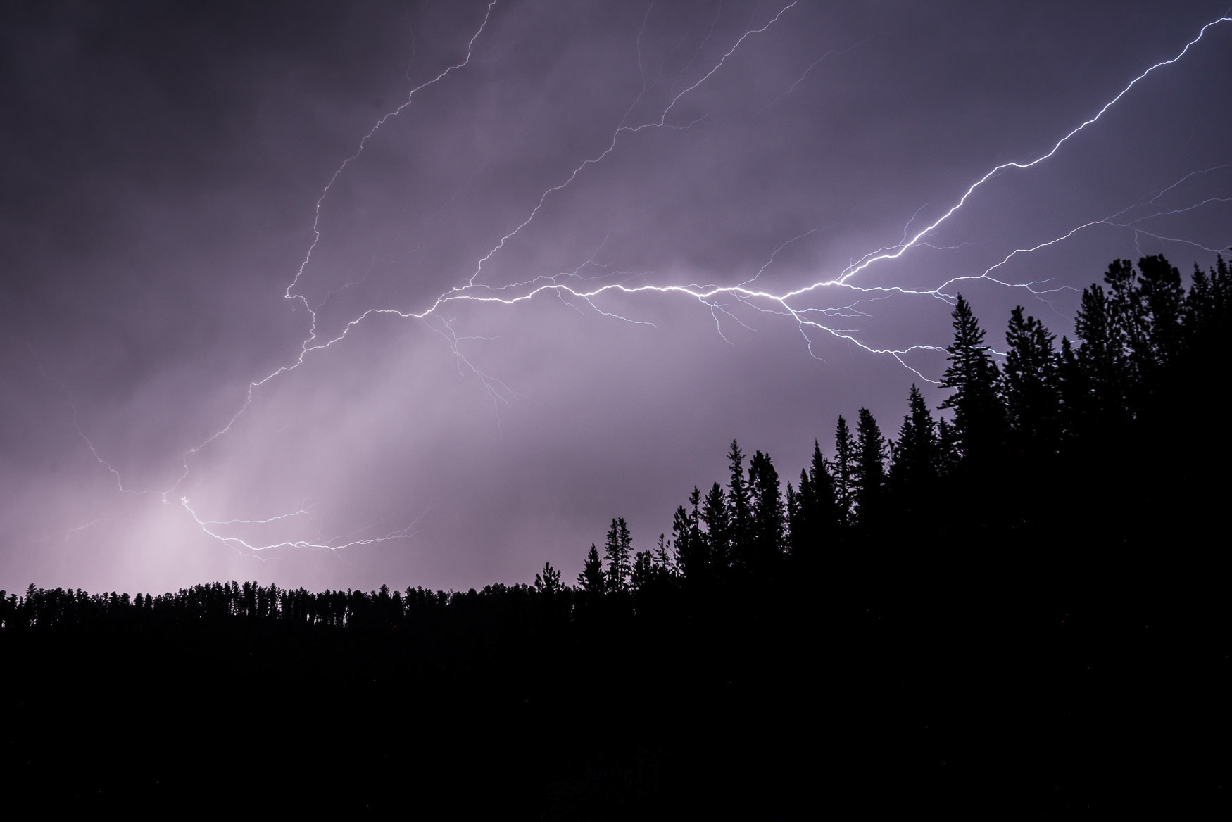 25. Lightning Strike in the Black Hills National Forest