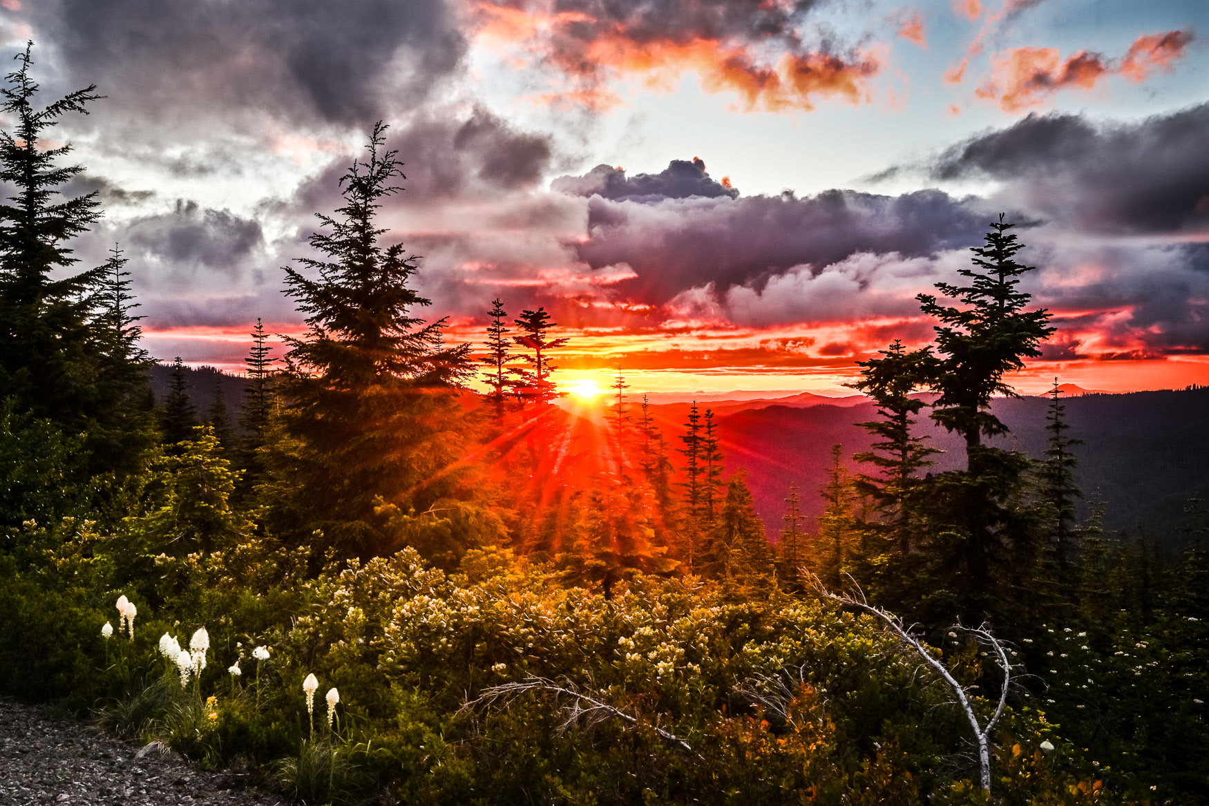 24. Sunset on Grass Mountain - Oregon