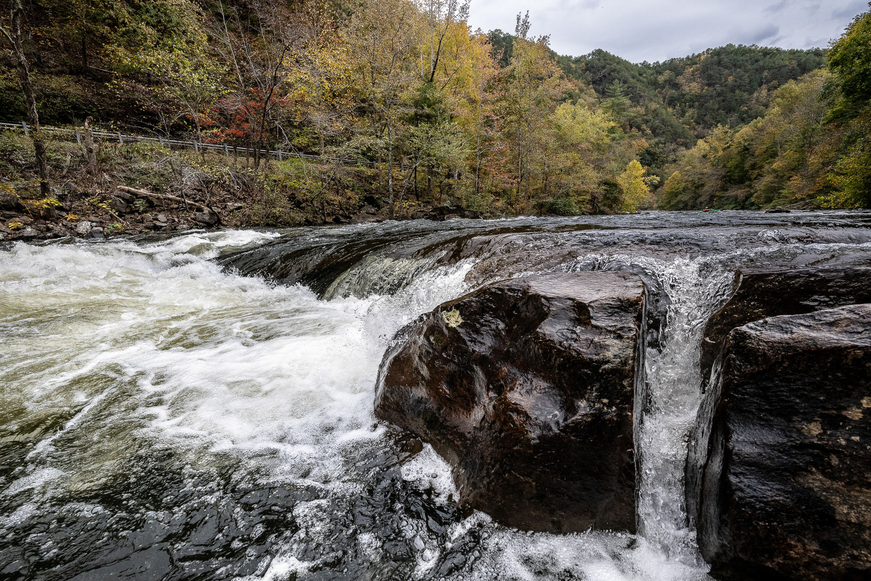 18. Flipper Rapid