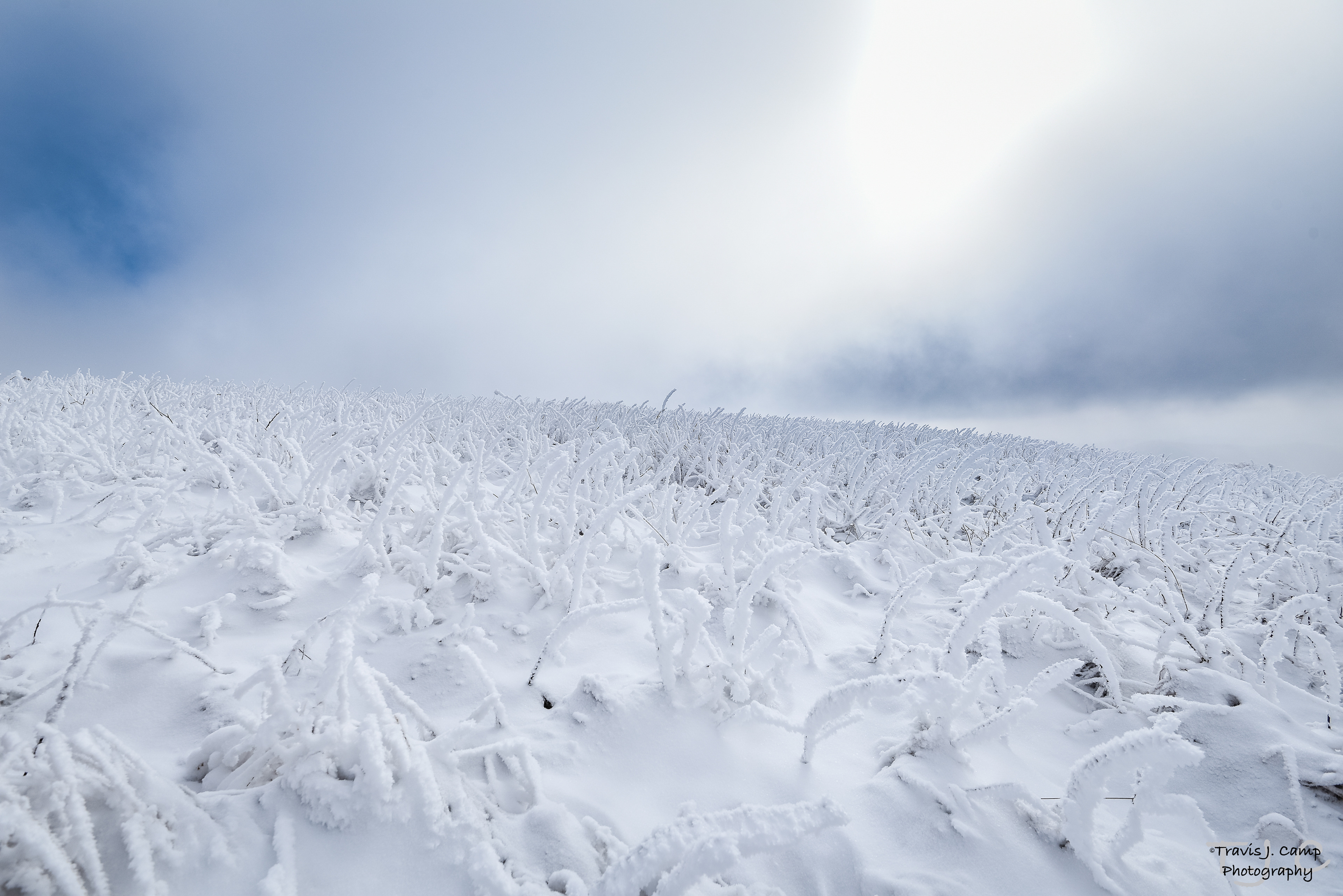 Appalachian Trail - Max Patch