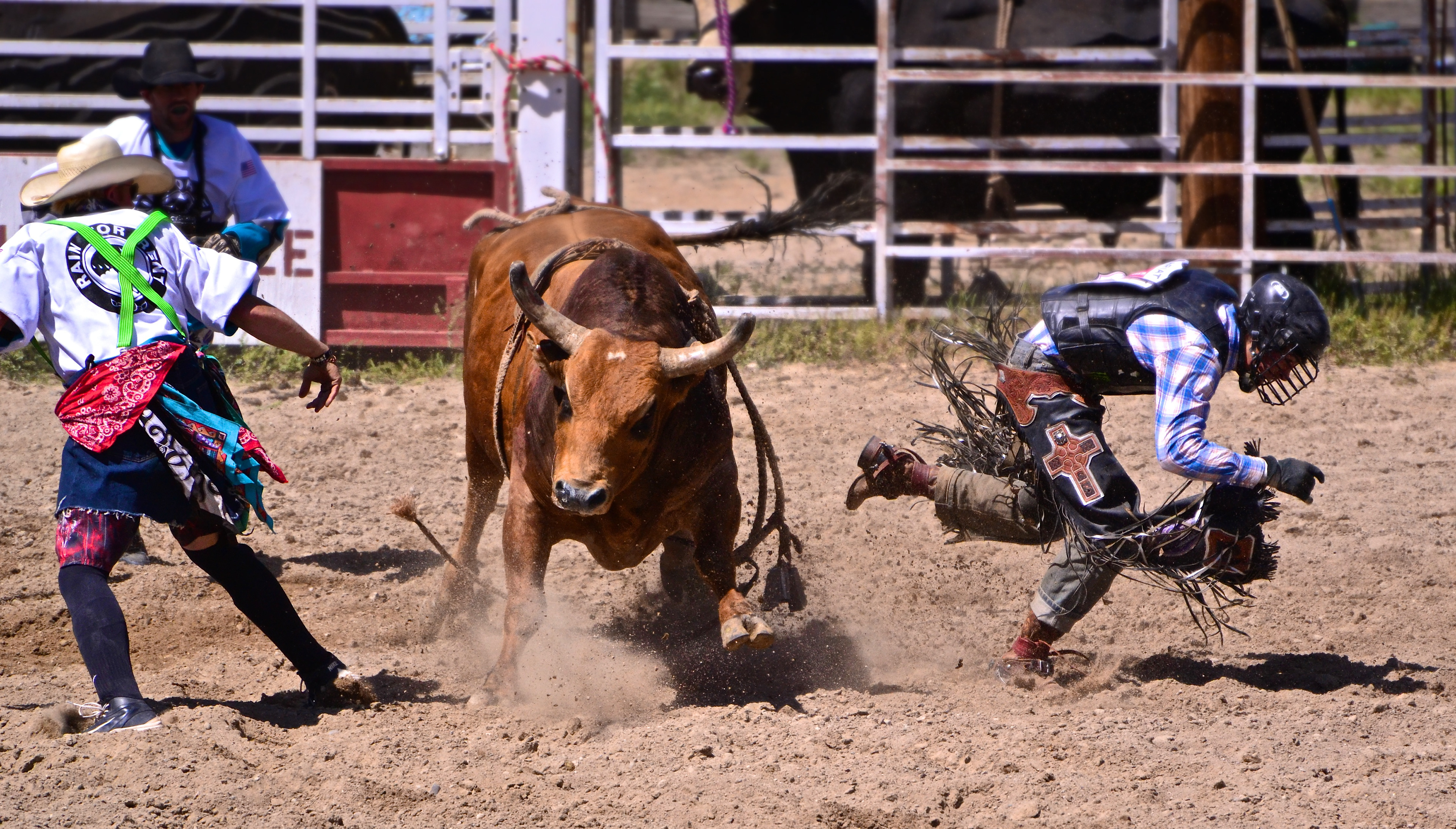 Rodeo - Encampment, Wyoming