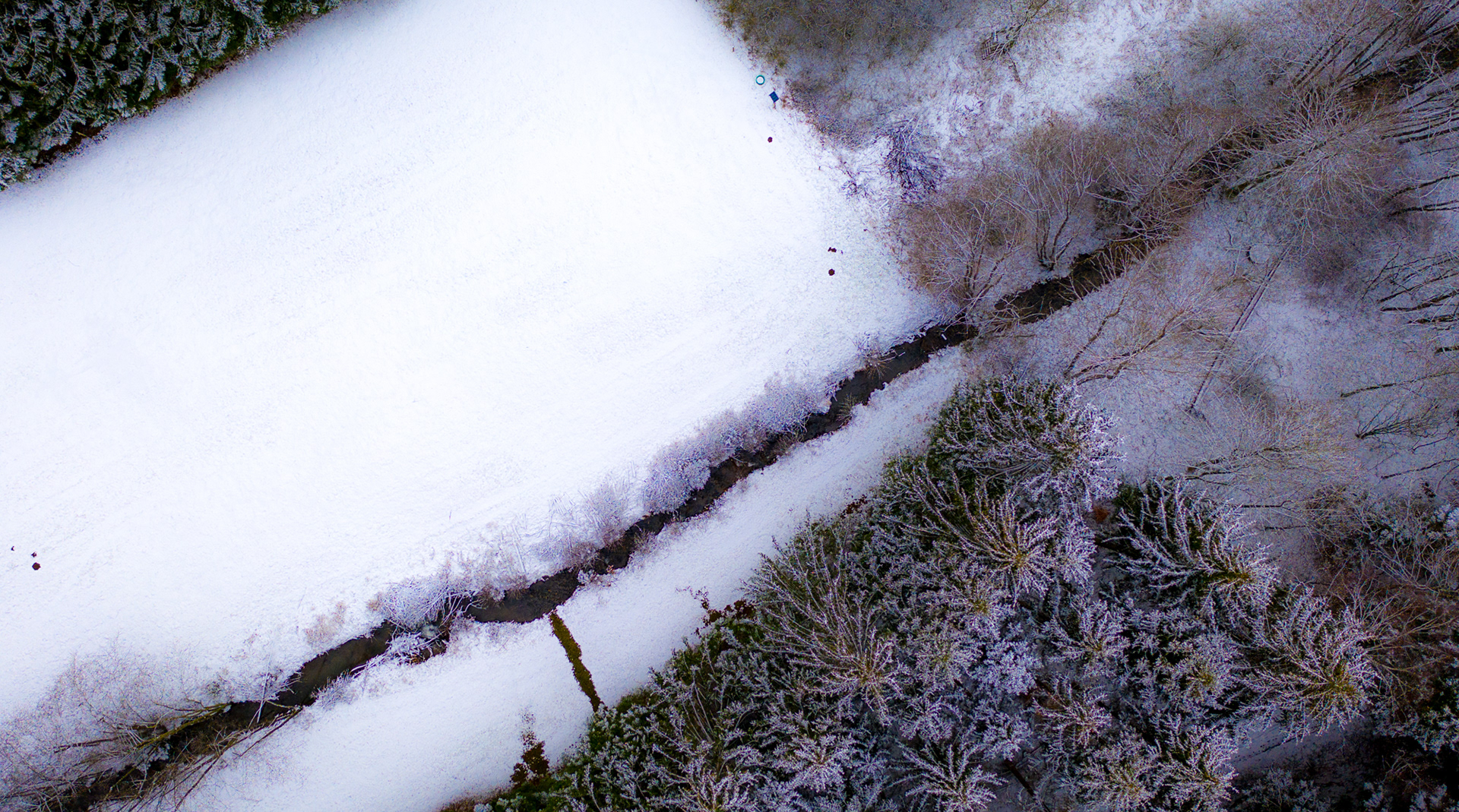 Die Quamecke bahnt sich ihren Weg durch den Schnee