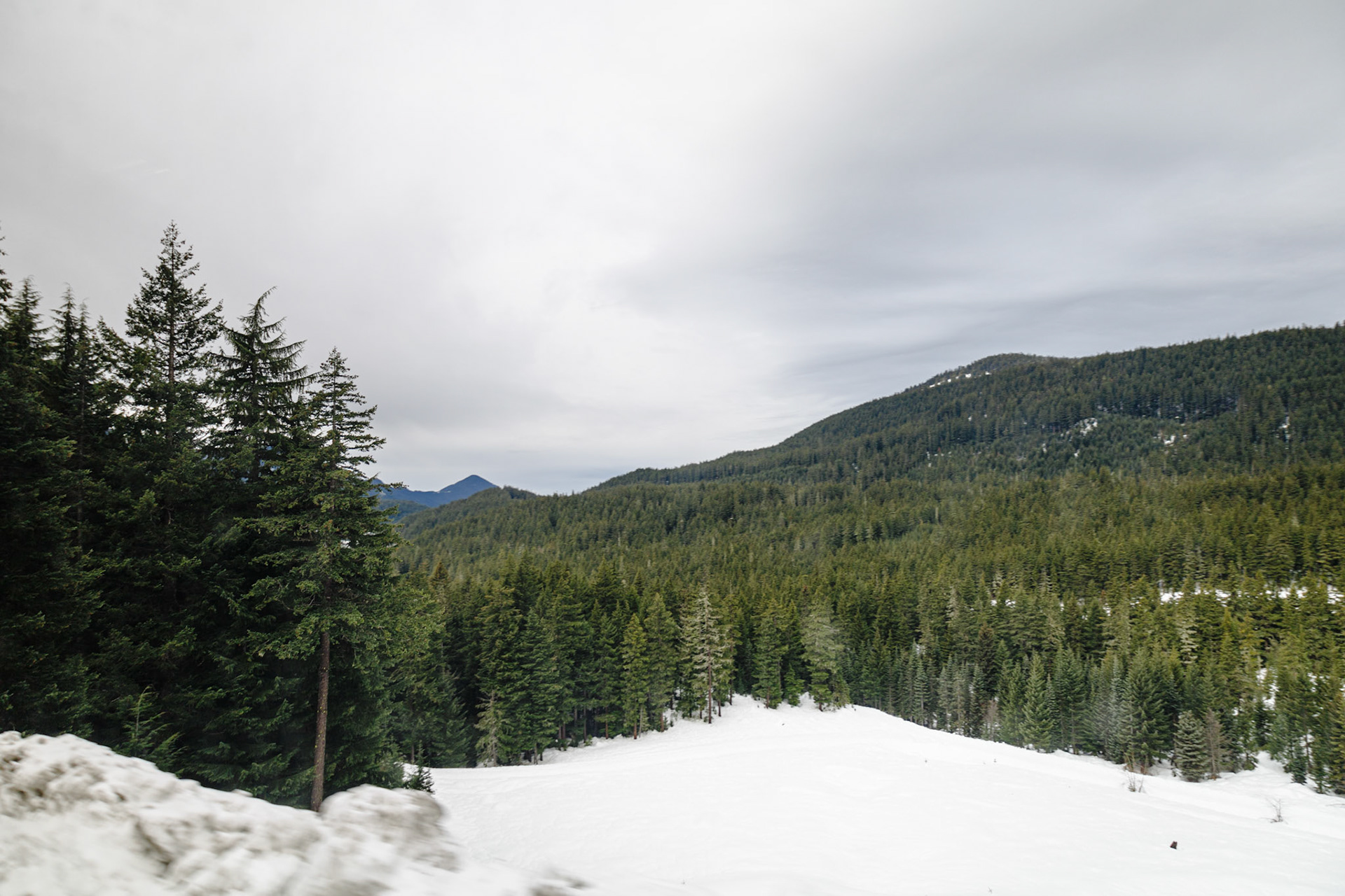 Eugene, OR