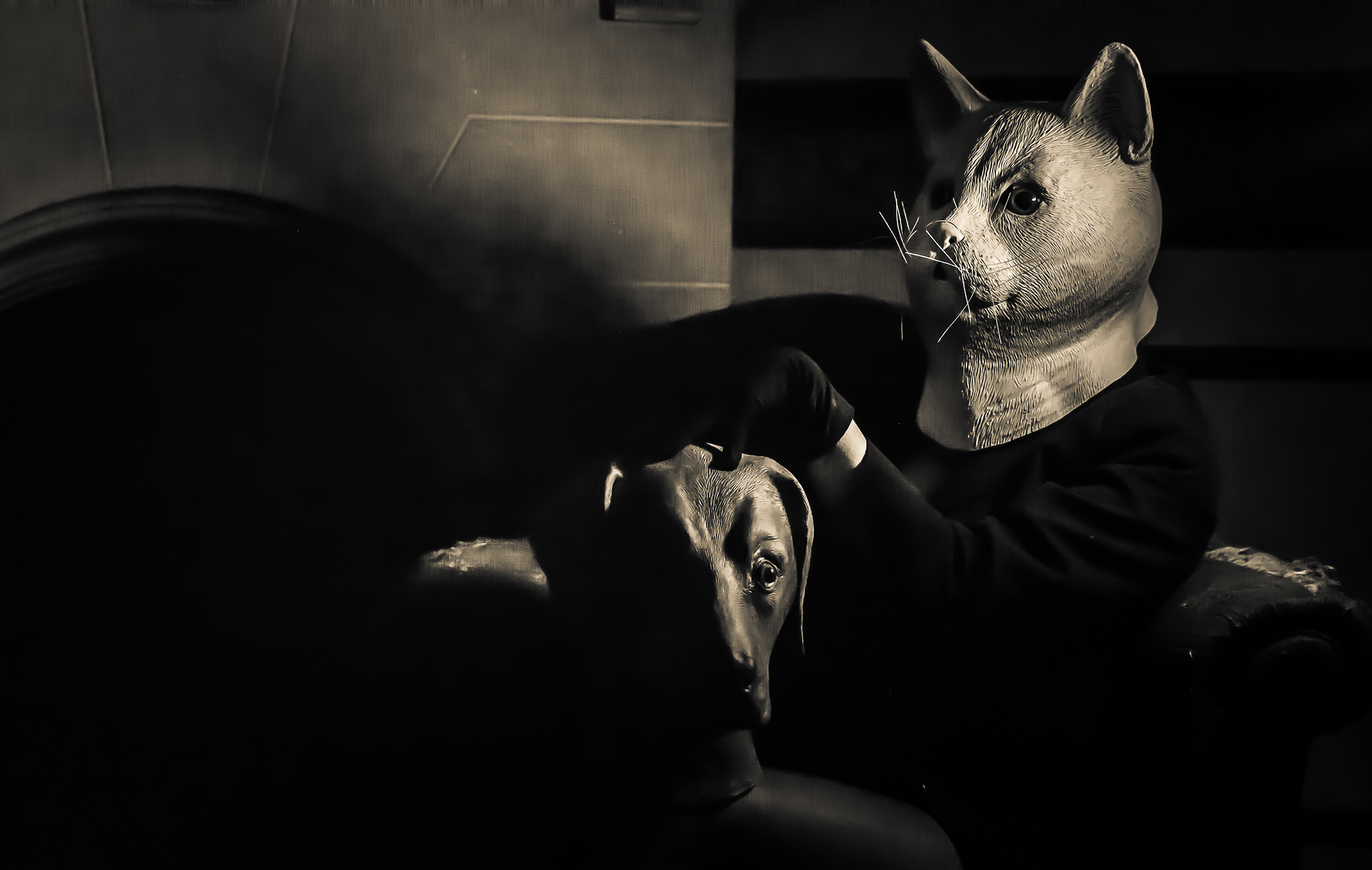 GATO