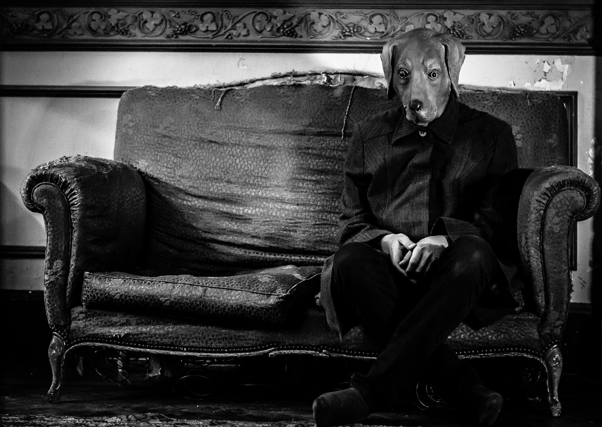 PERRO