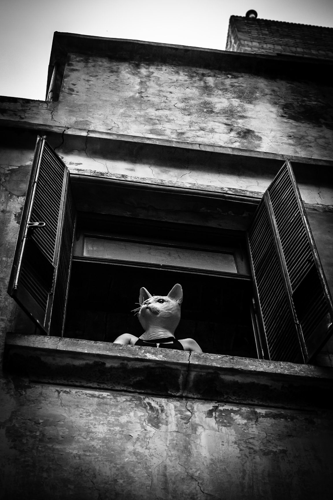 GATO