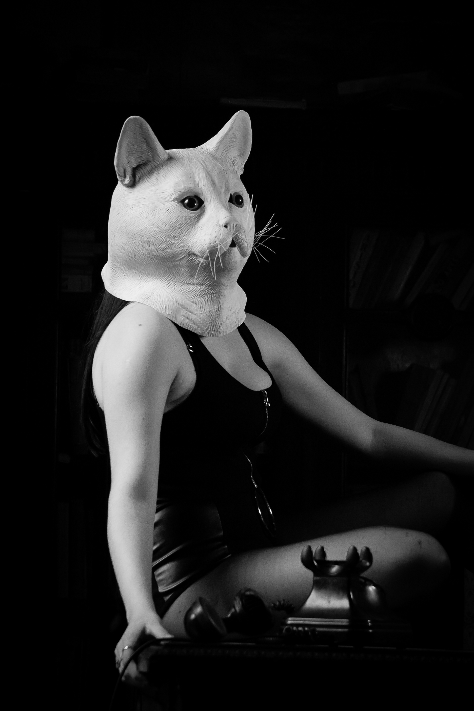 GATO