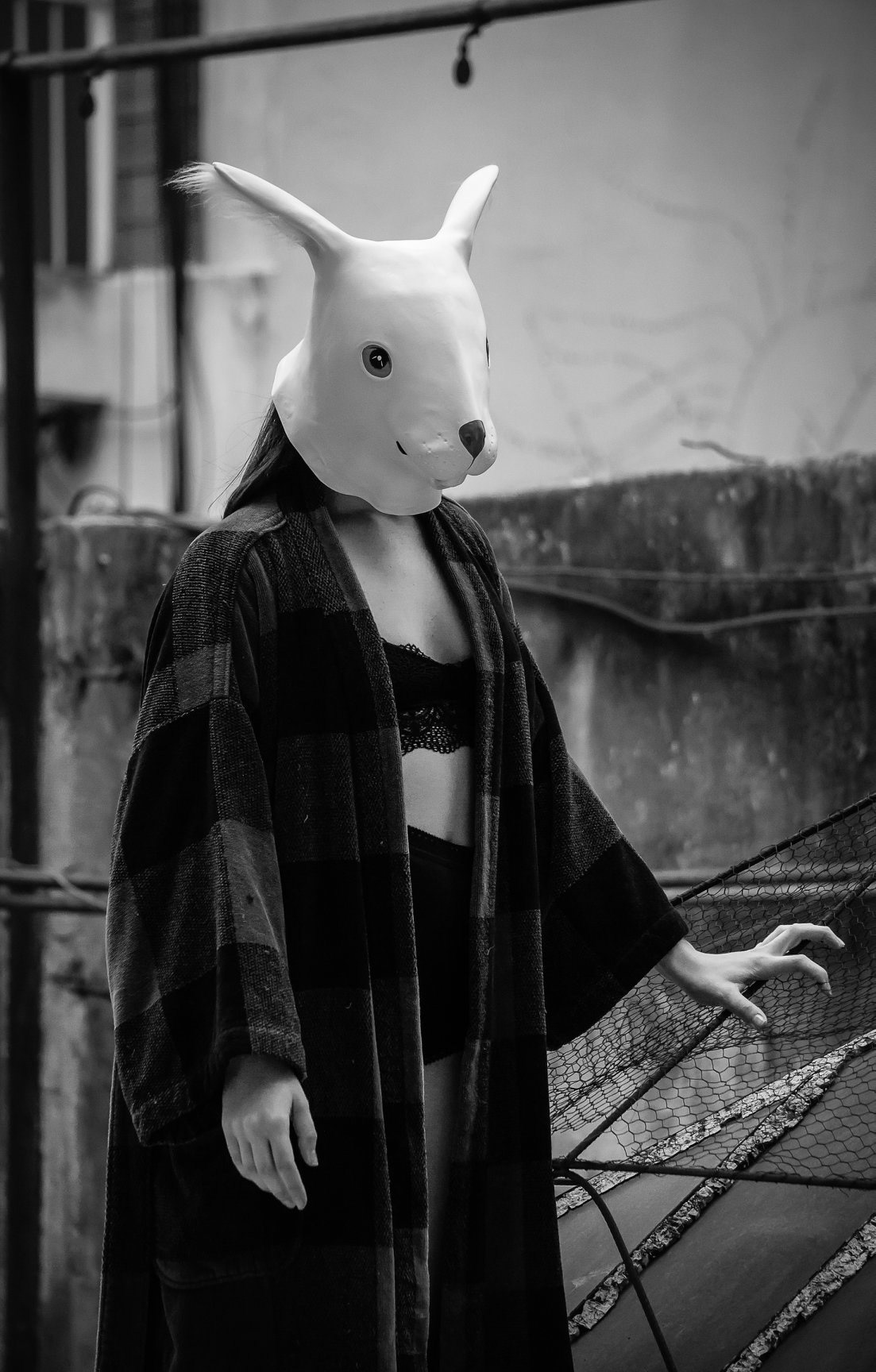 CONEJO