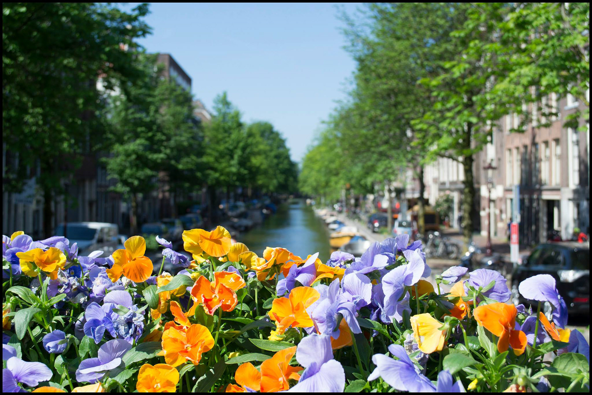 ÁMSTERDAM