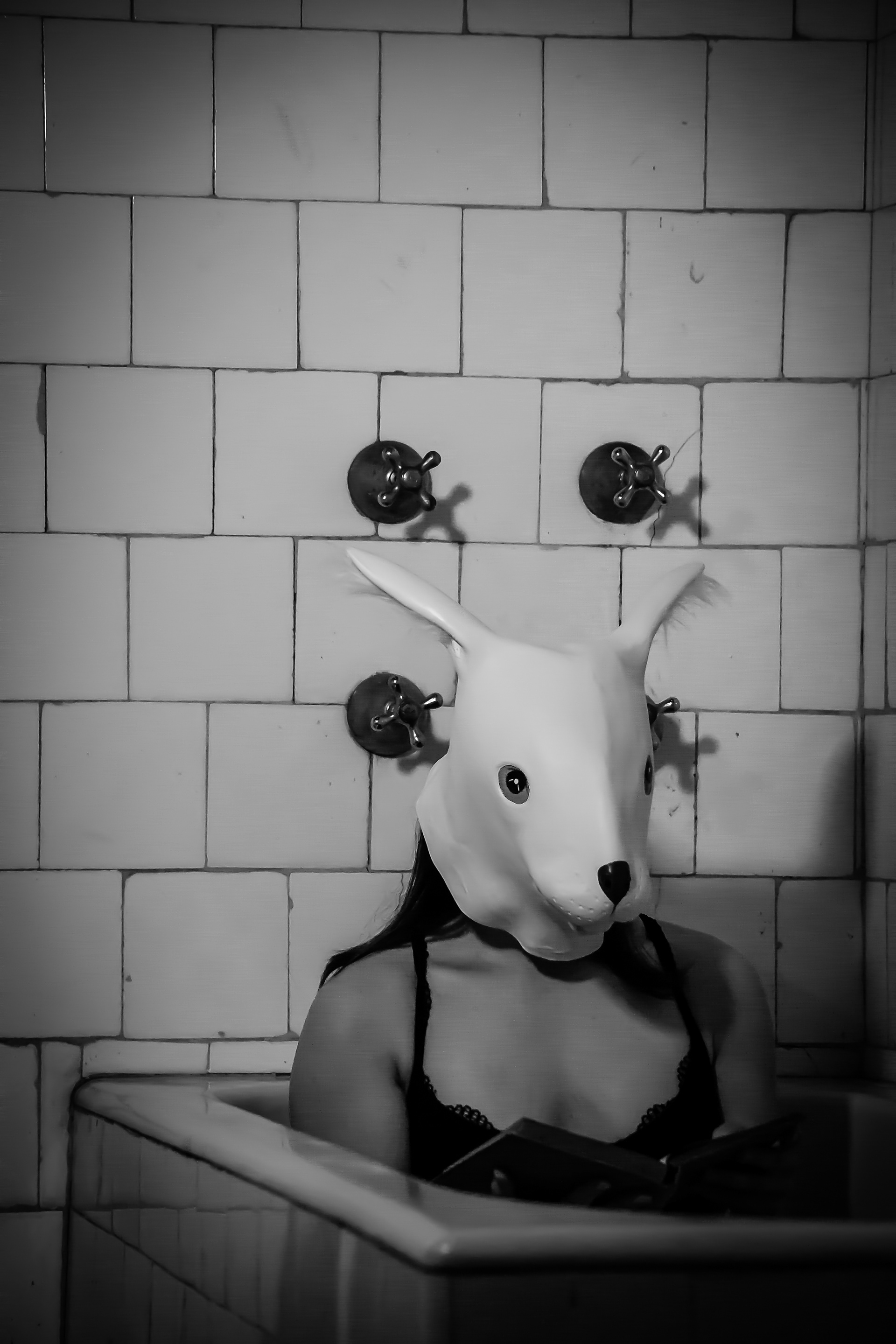 CONEJO