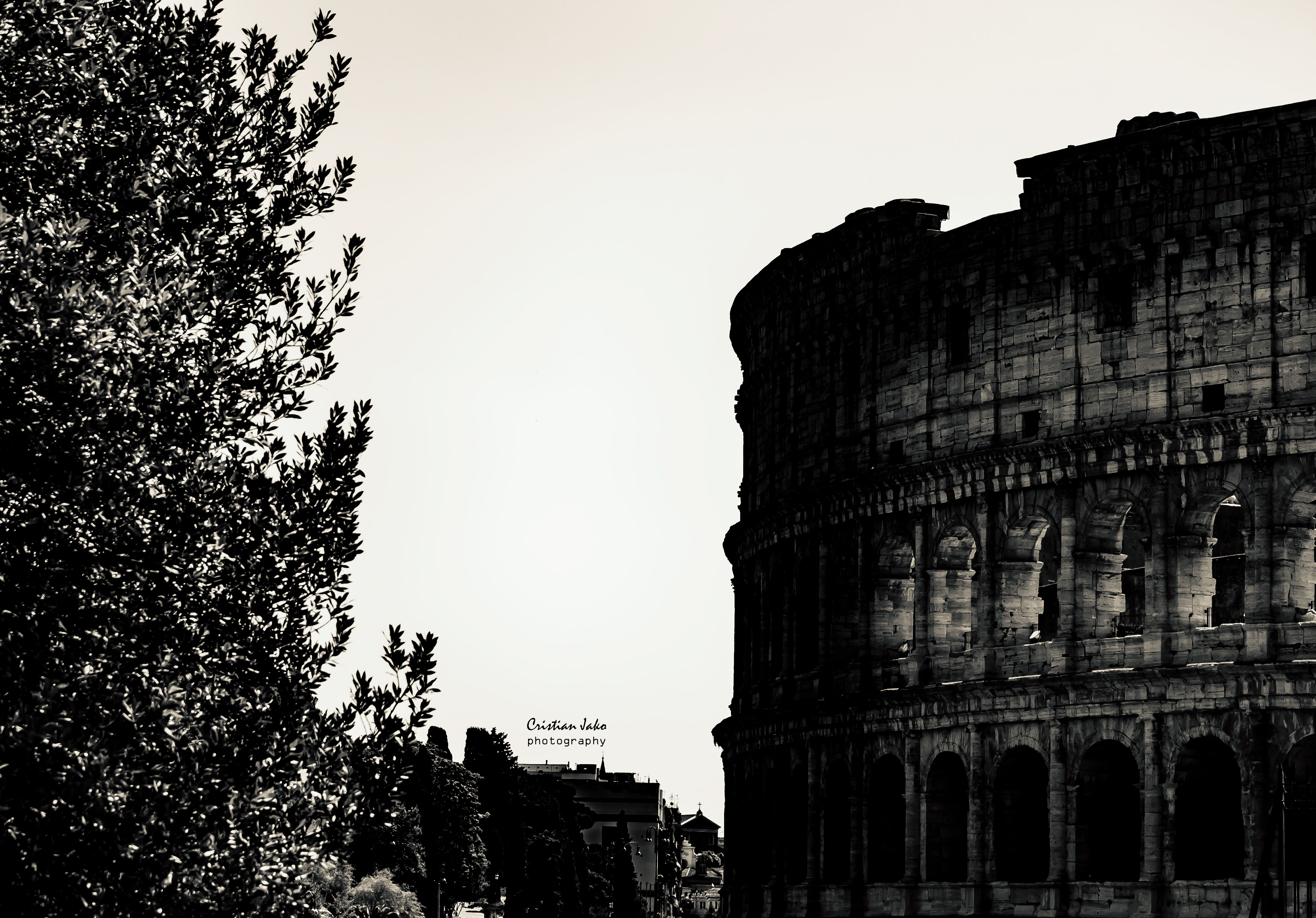 ROMA