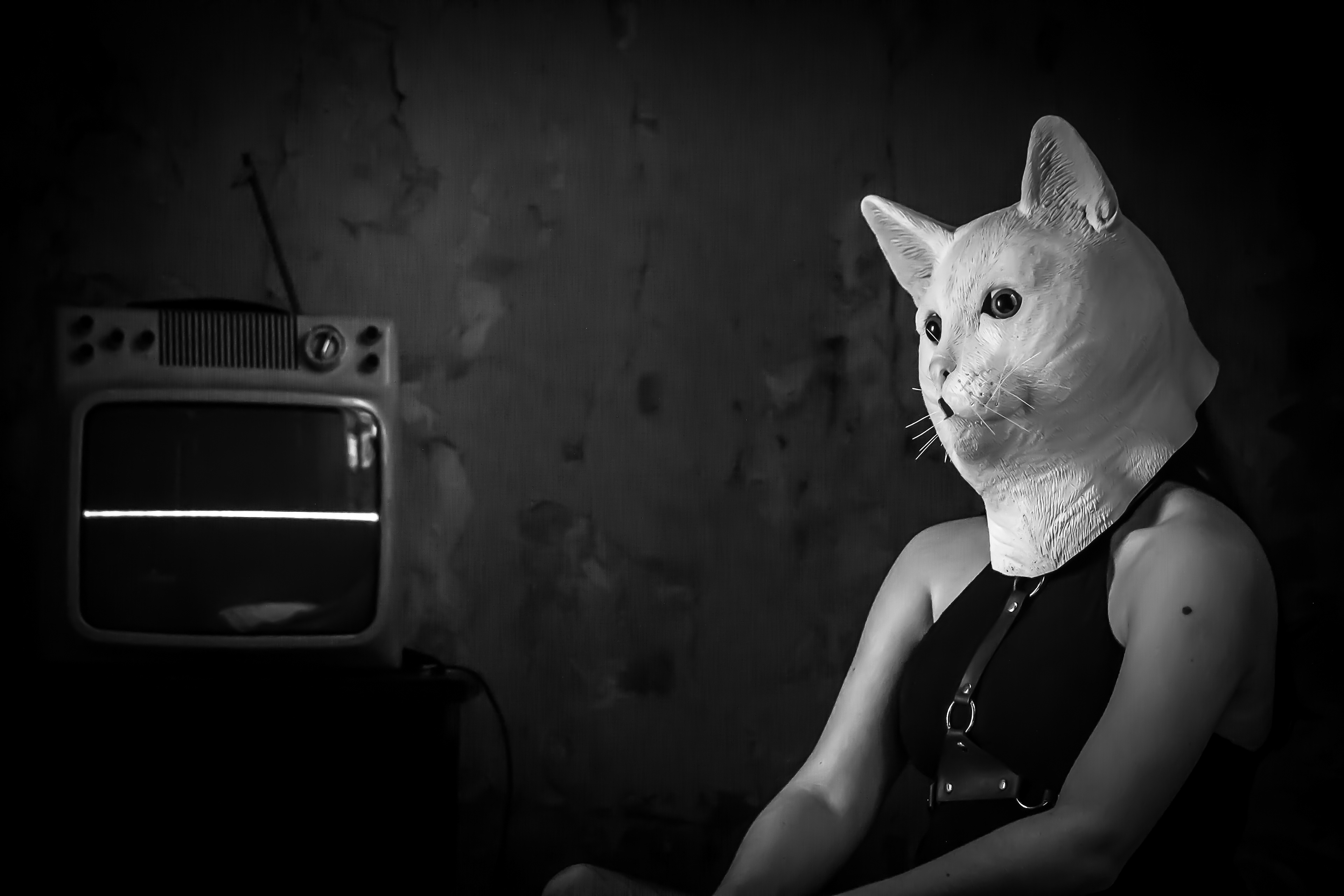 GATO