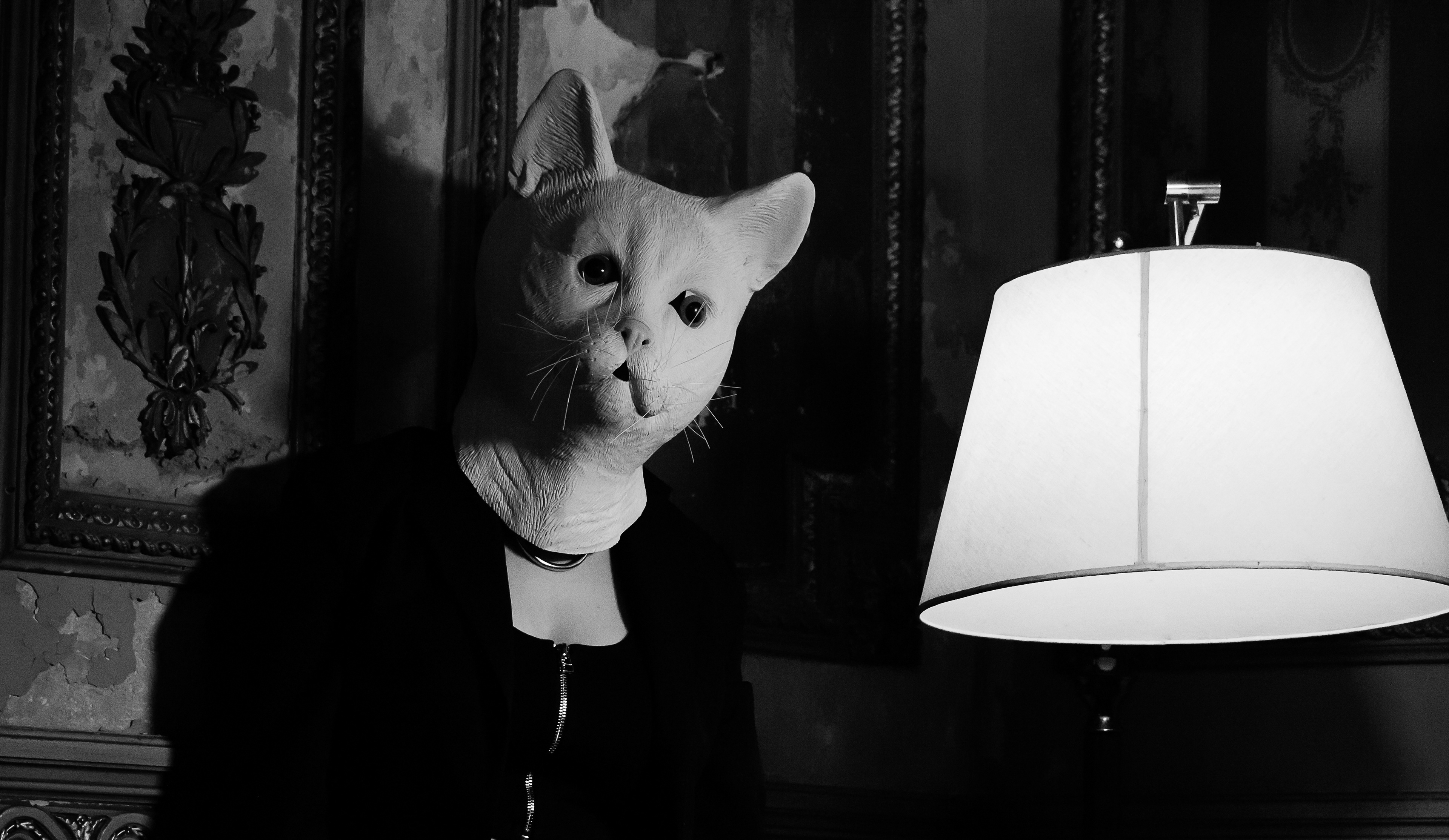 GATO