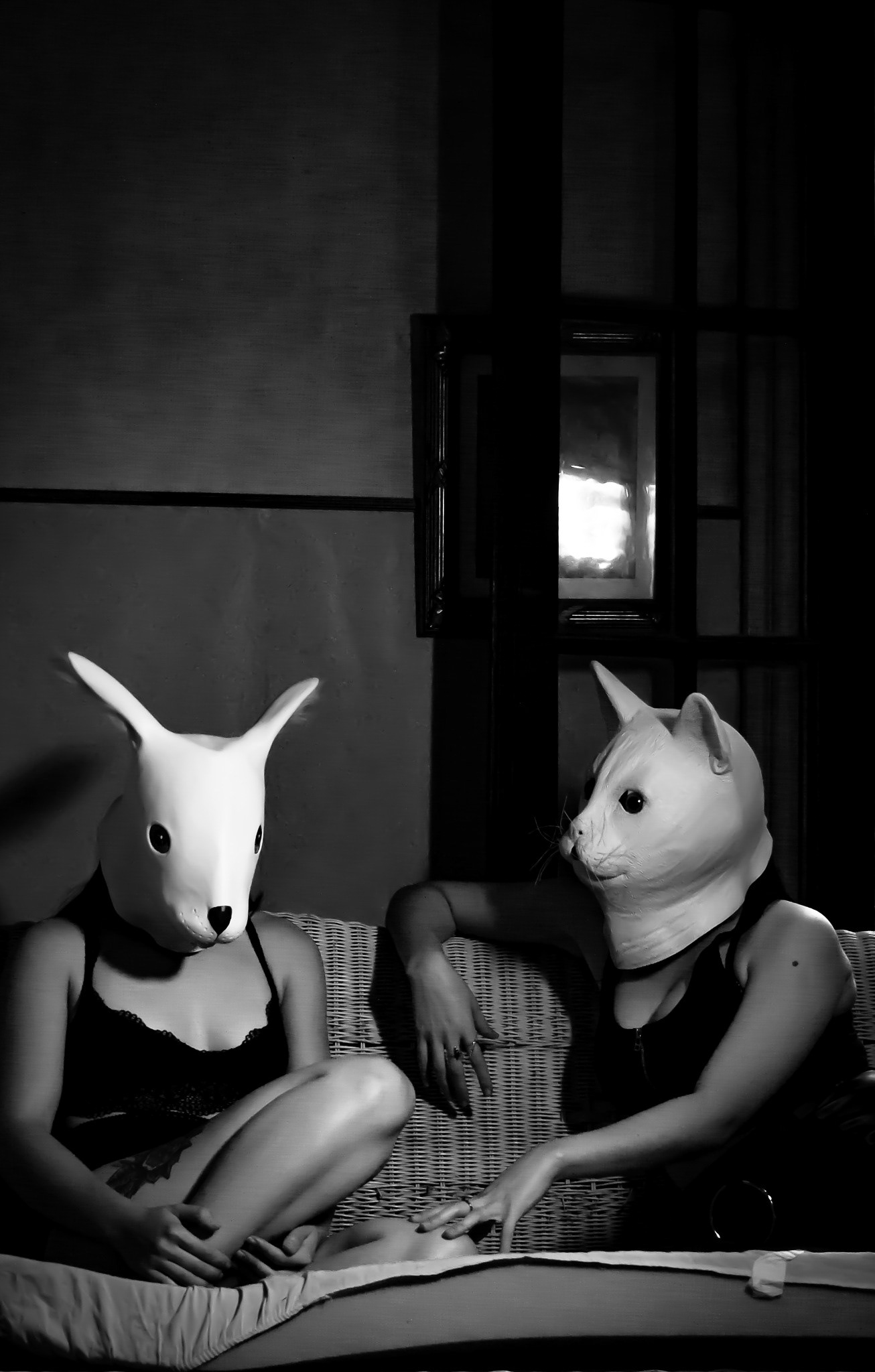 CONEJO Y GATO
