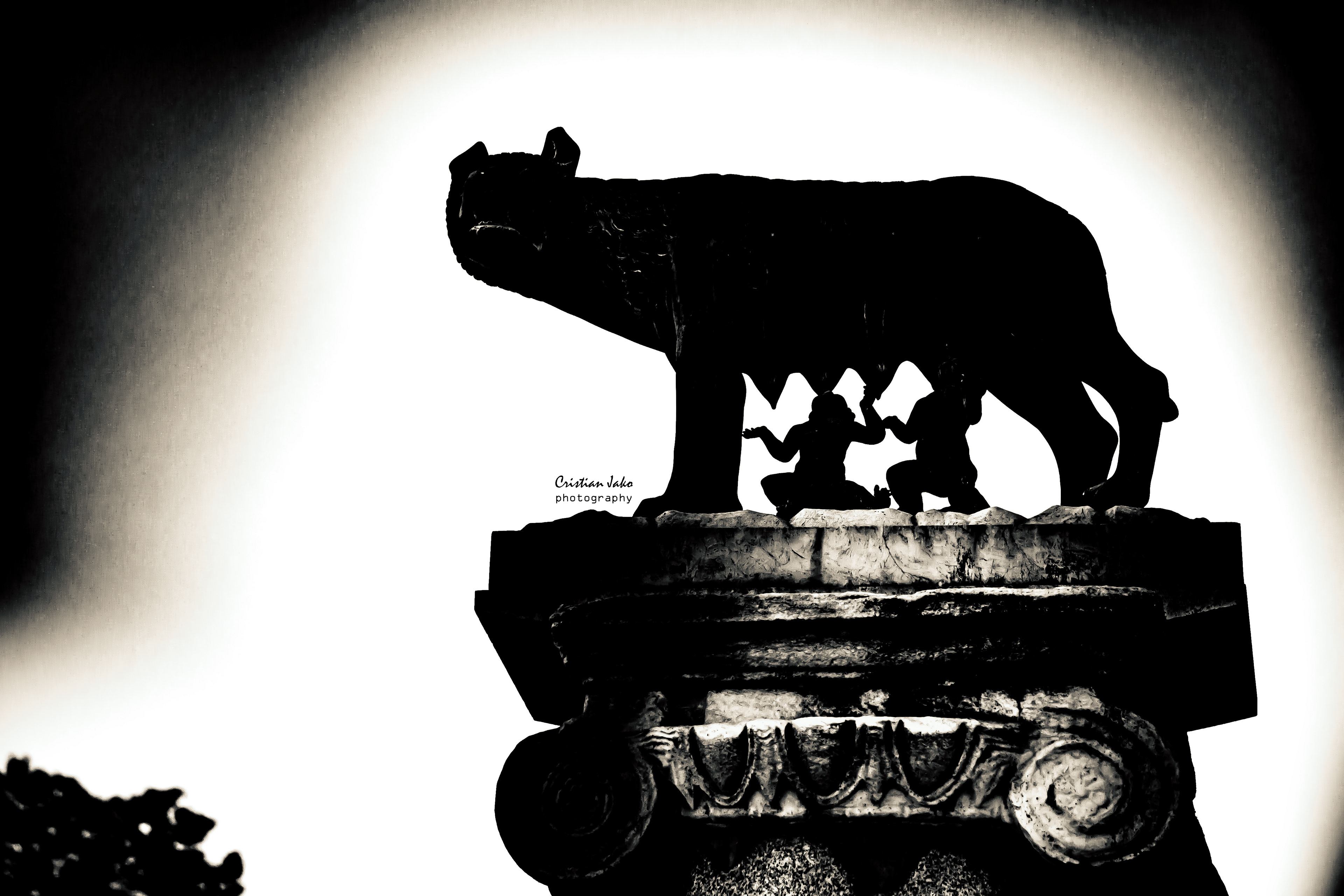 ROMA