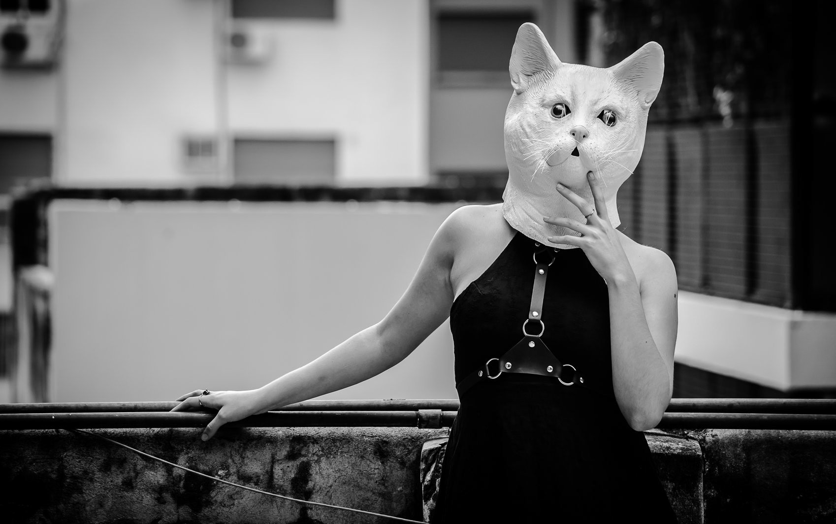GATO