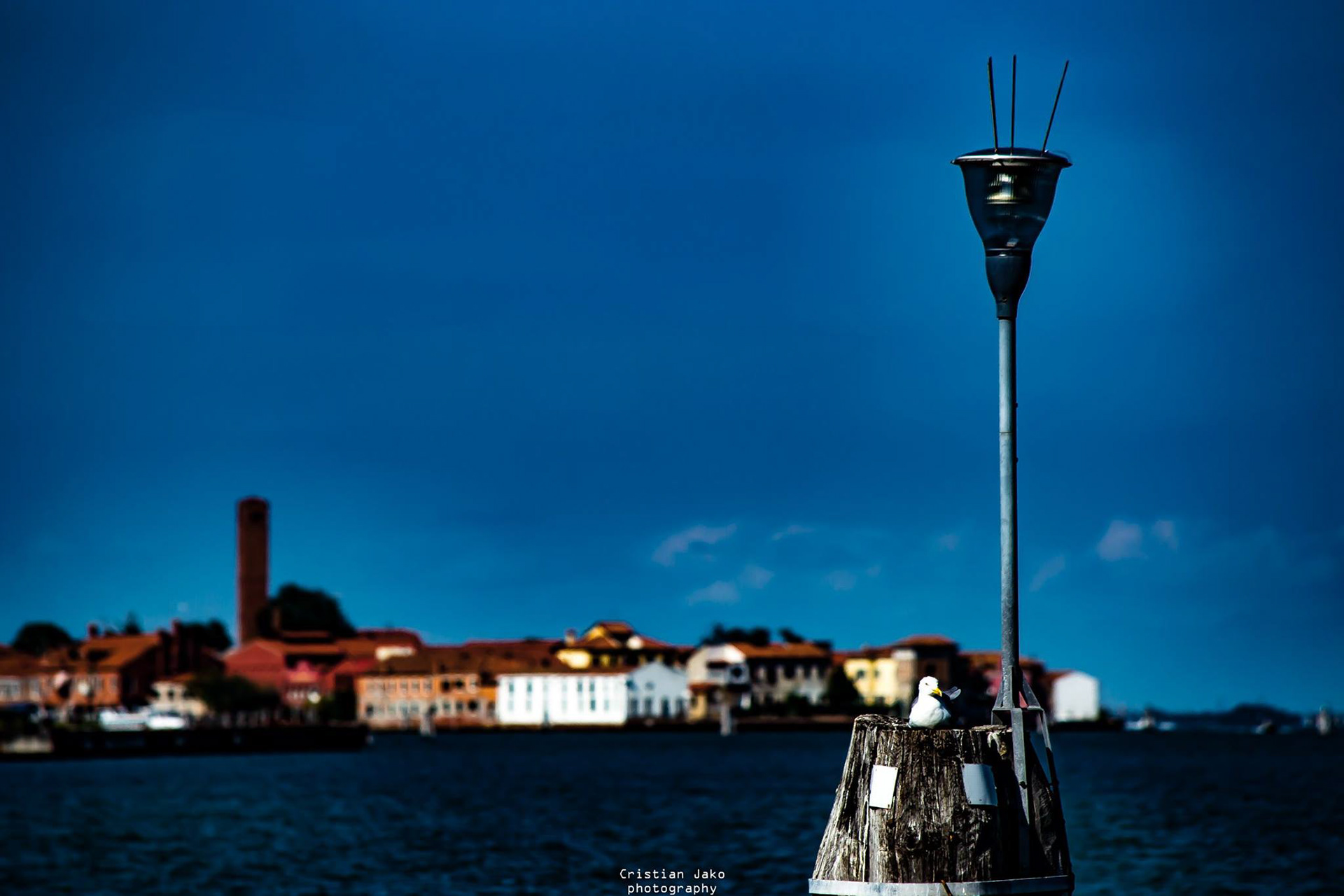 VENECIA