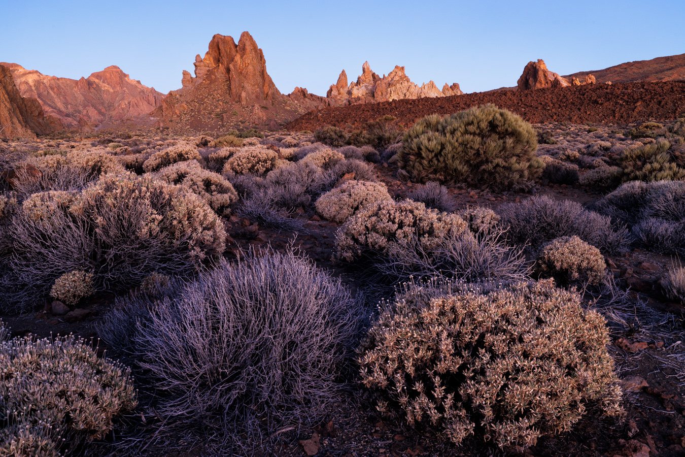 Recent and past eruptions, and ancient eroded volcanic cones, on the Canadas del Teide, Tenerife