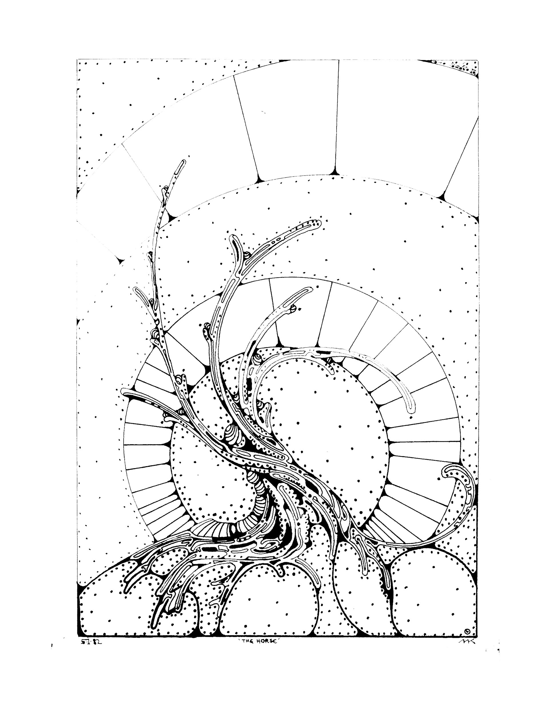 1982 05 81 The Horse