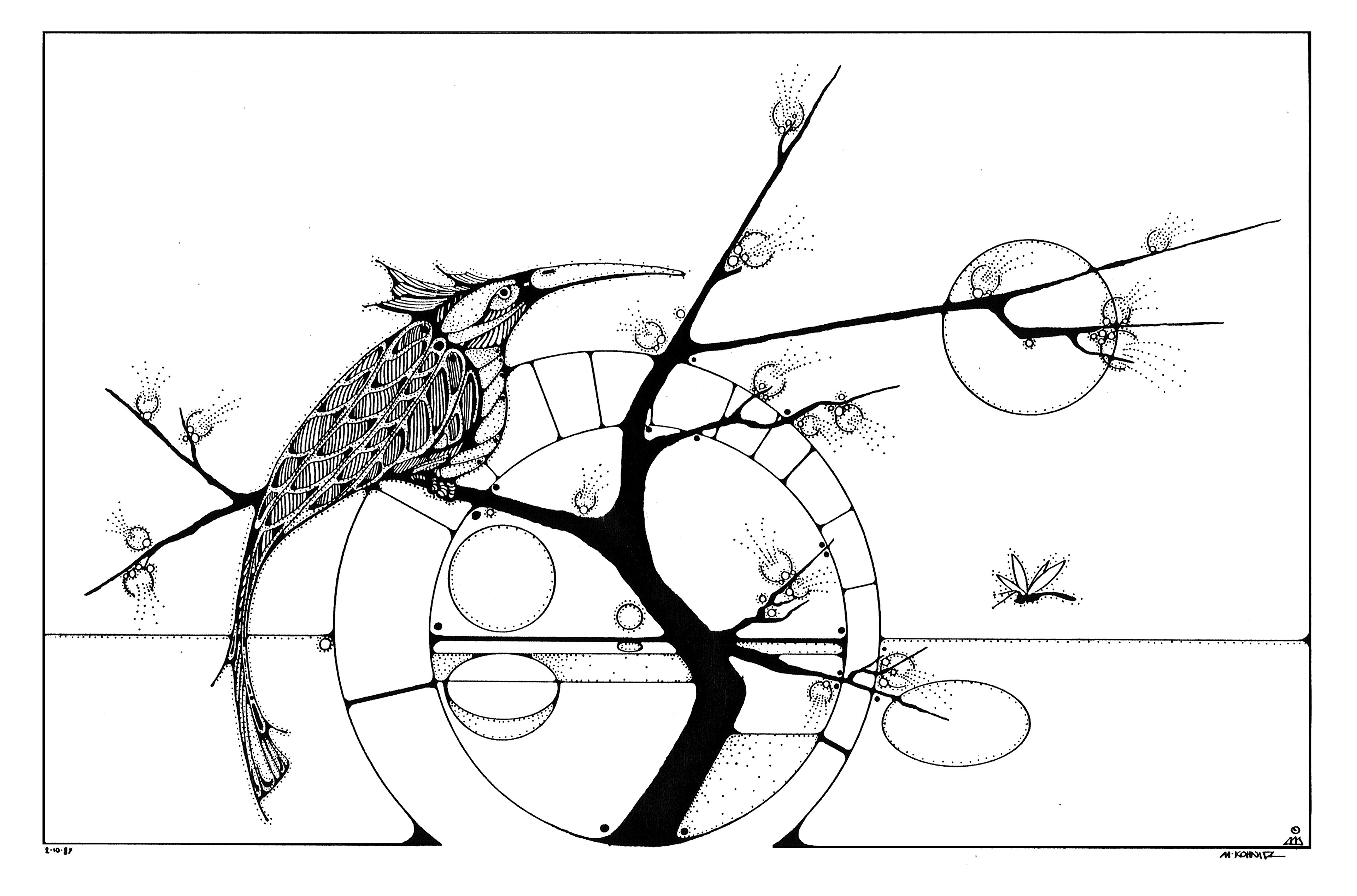 Bird