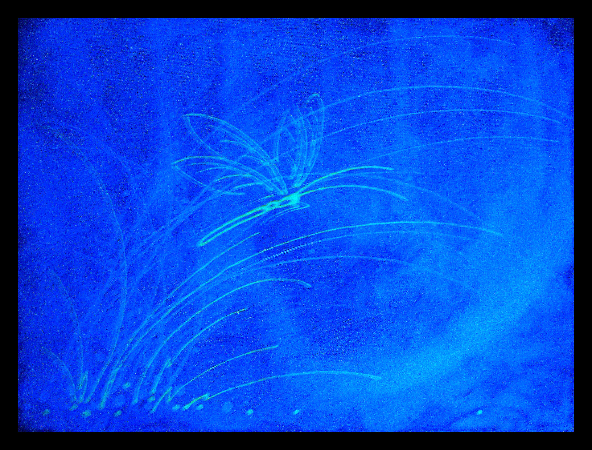 Misty Blue (blacklight)