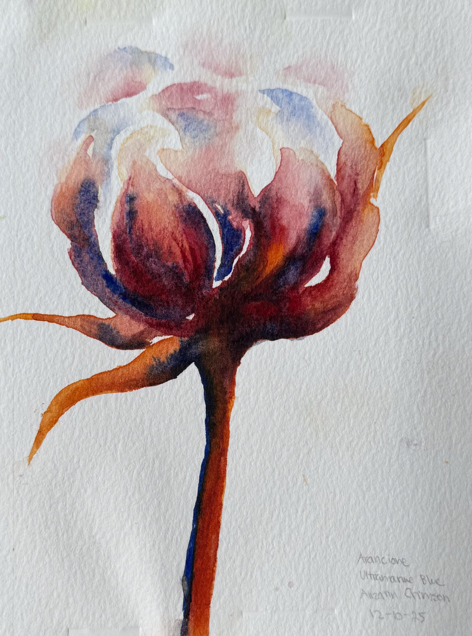 Peony 10, Watercolor