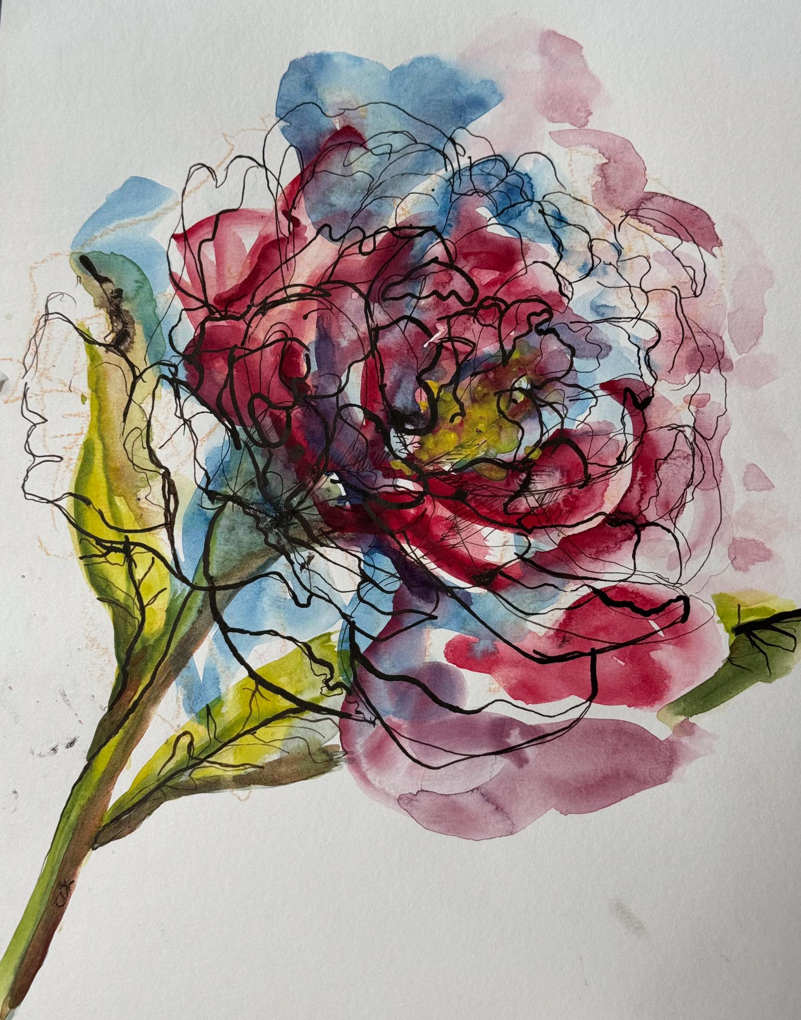 Peony 1, Ink & Watercolor