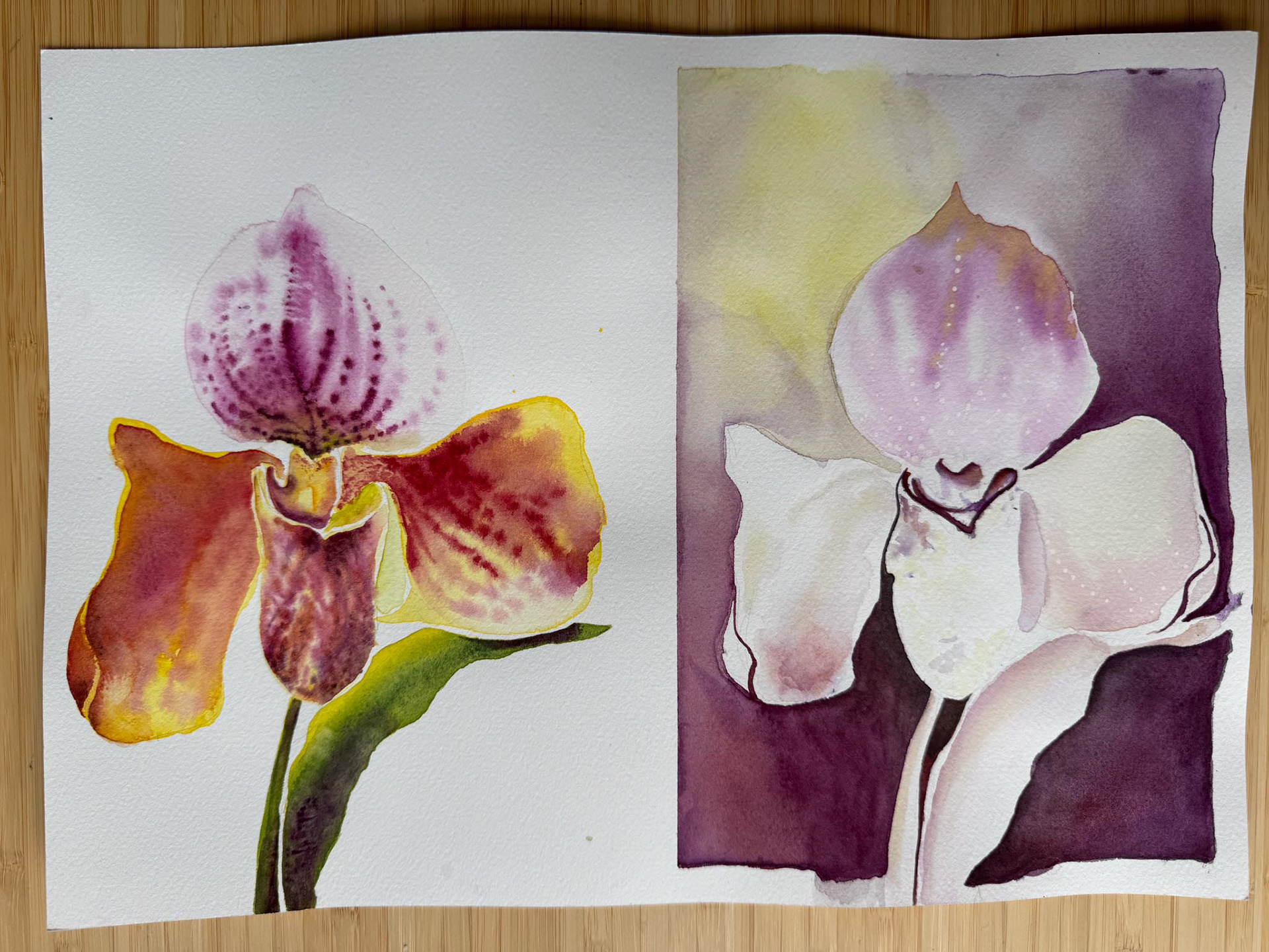 Orchid 1, Watercolor