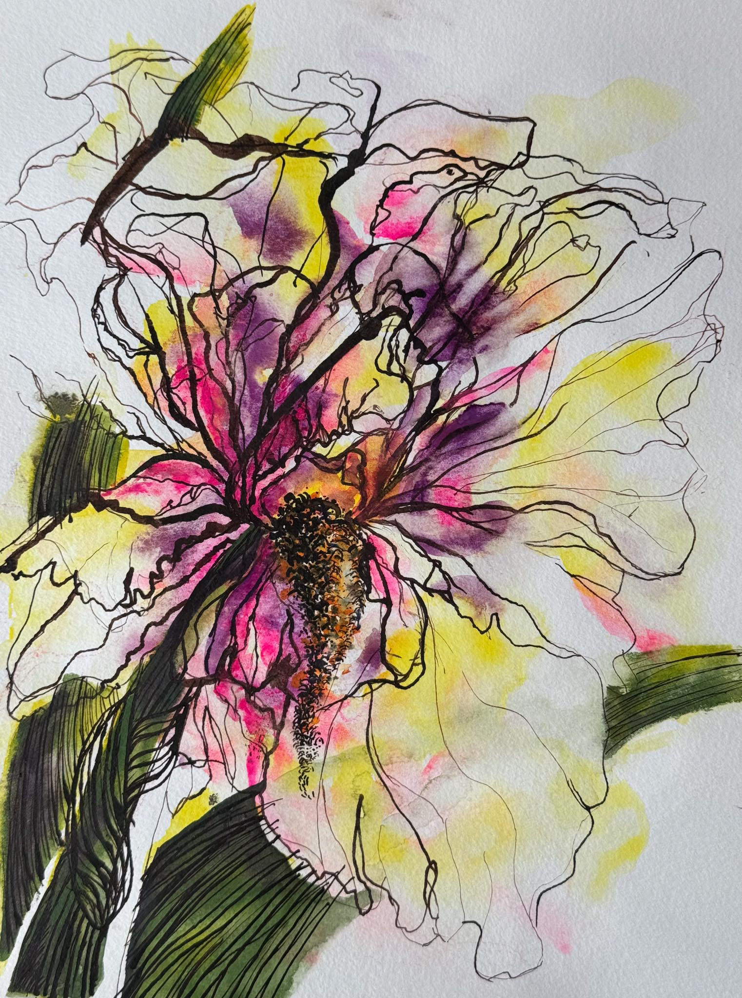 Iris 1, Ink & Watercolor