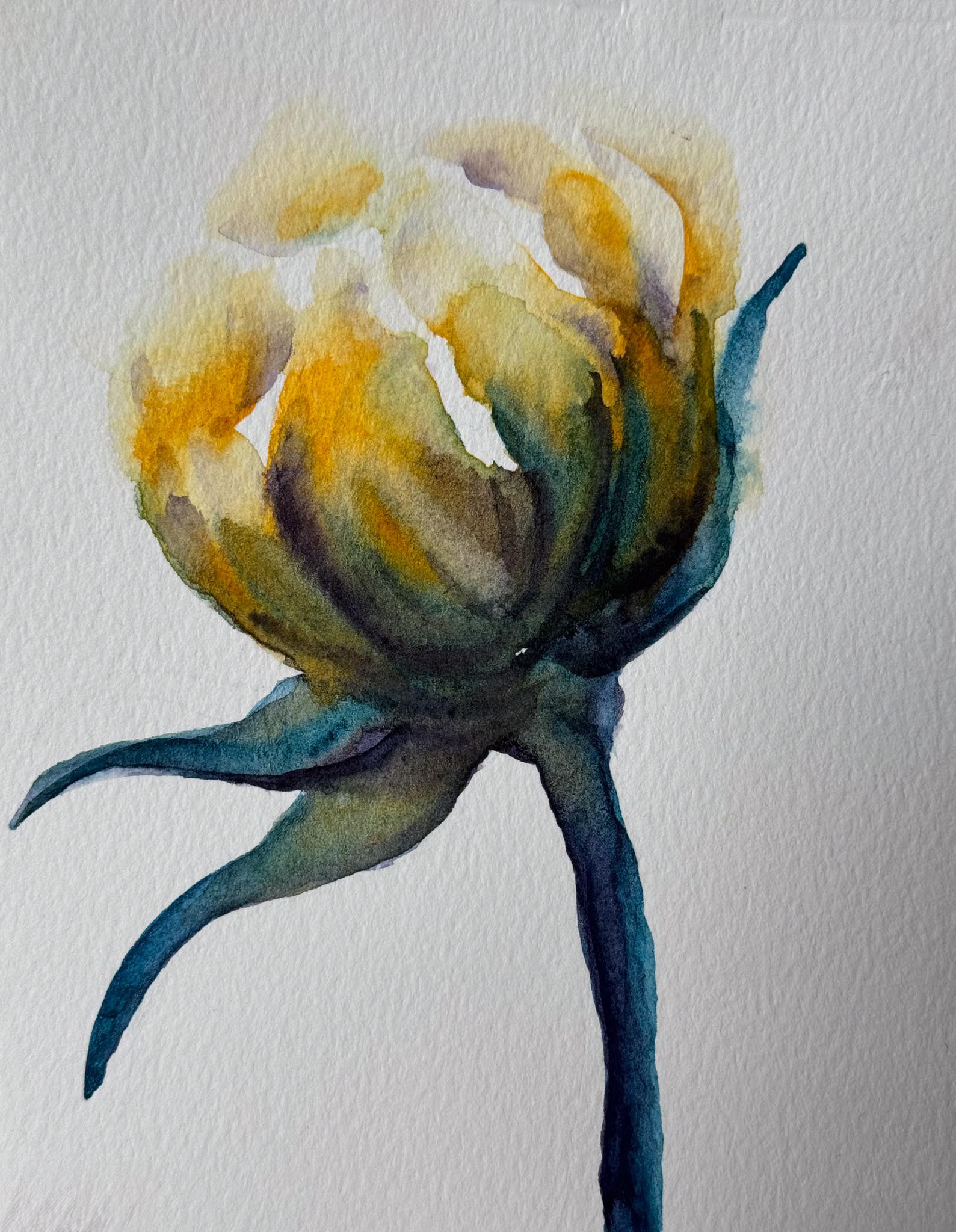 Peony 5, Watercolor