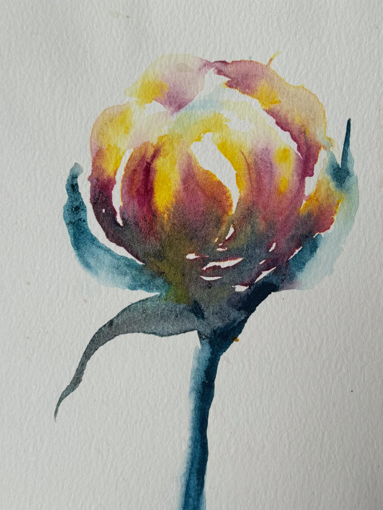 Peony 4, Watercolor