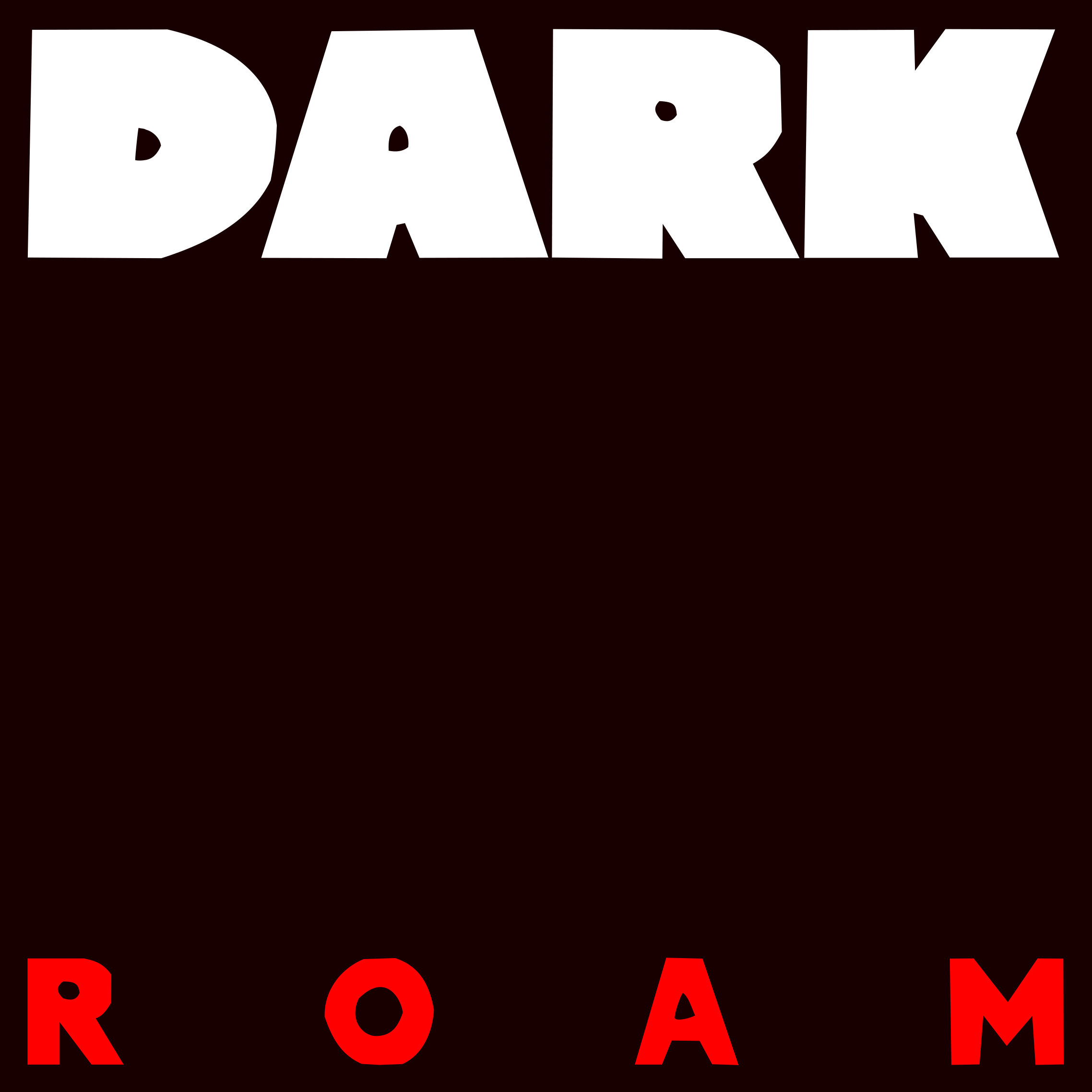 DARK ROAM
