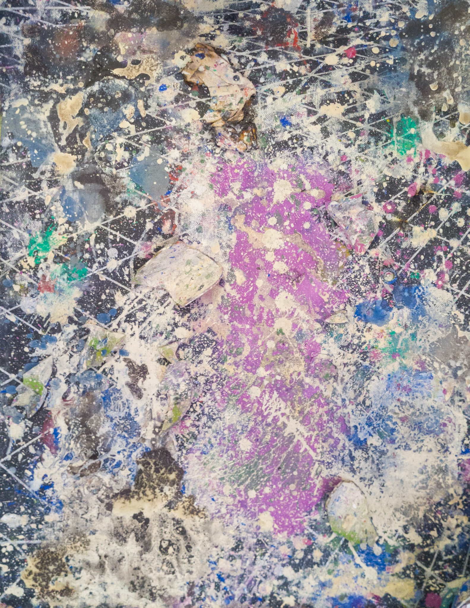 Sensitiva Fantástica 65,5 x 48 cm
