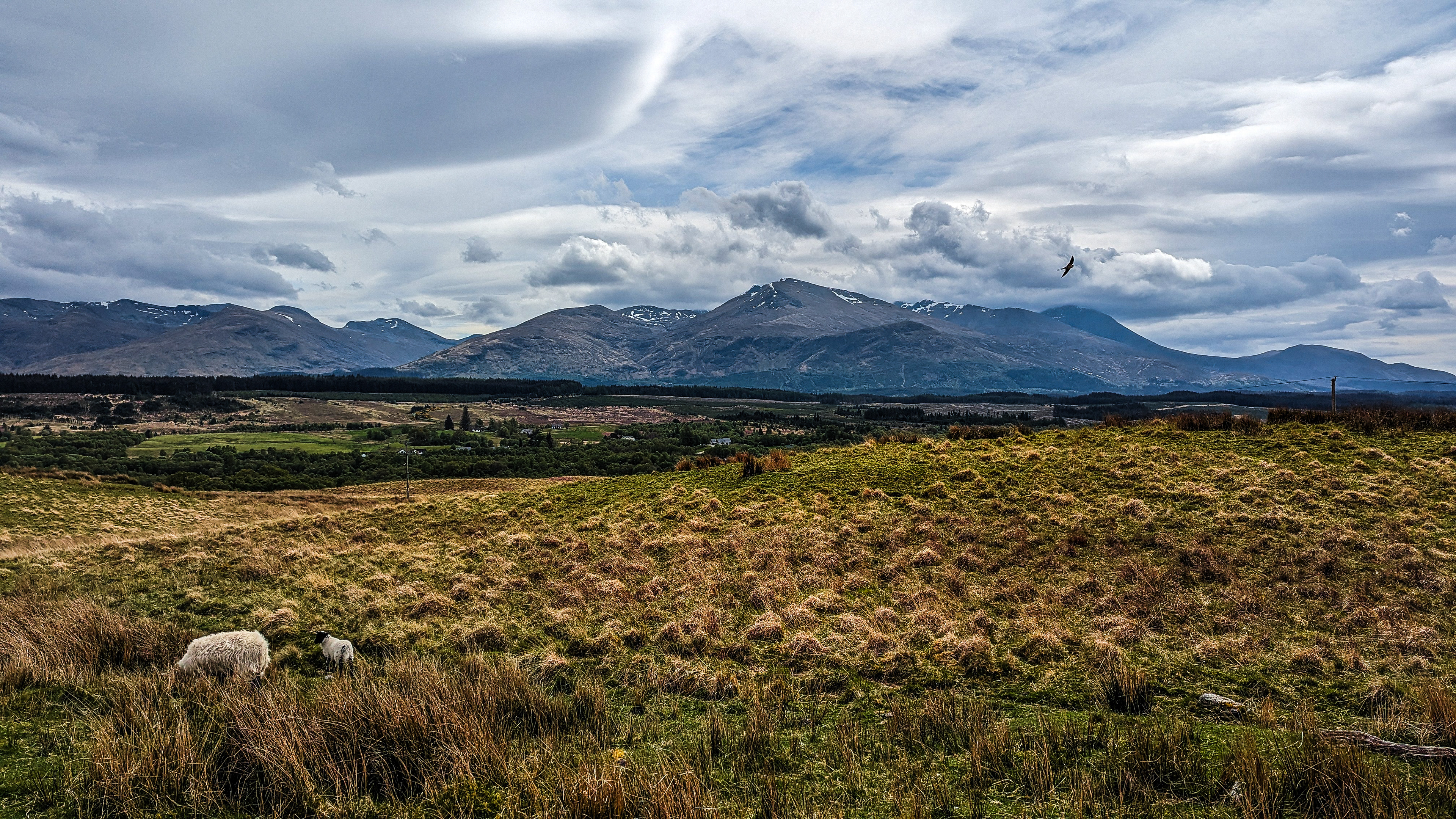 Scottish Highlands (Kilmonivaig, UK)