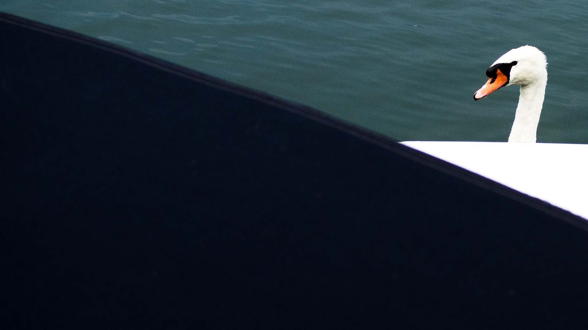 Tutzing (2019)