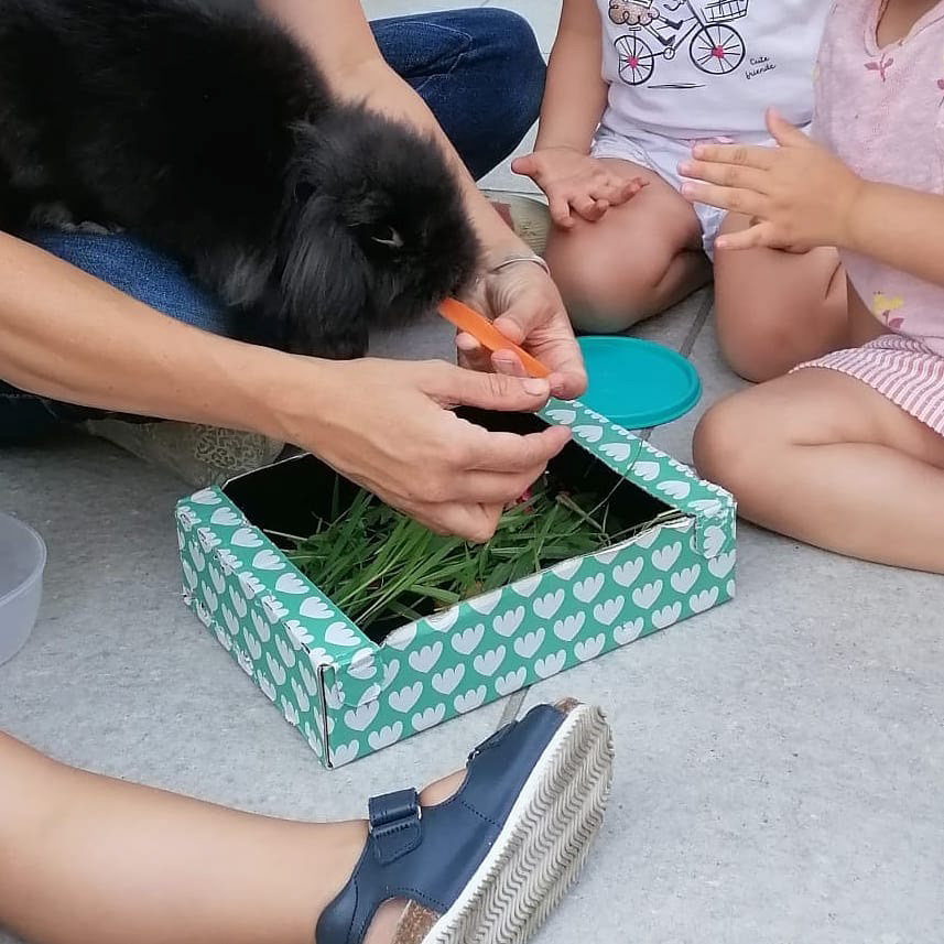 Sirius Black al lavoro