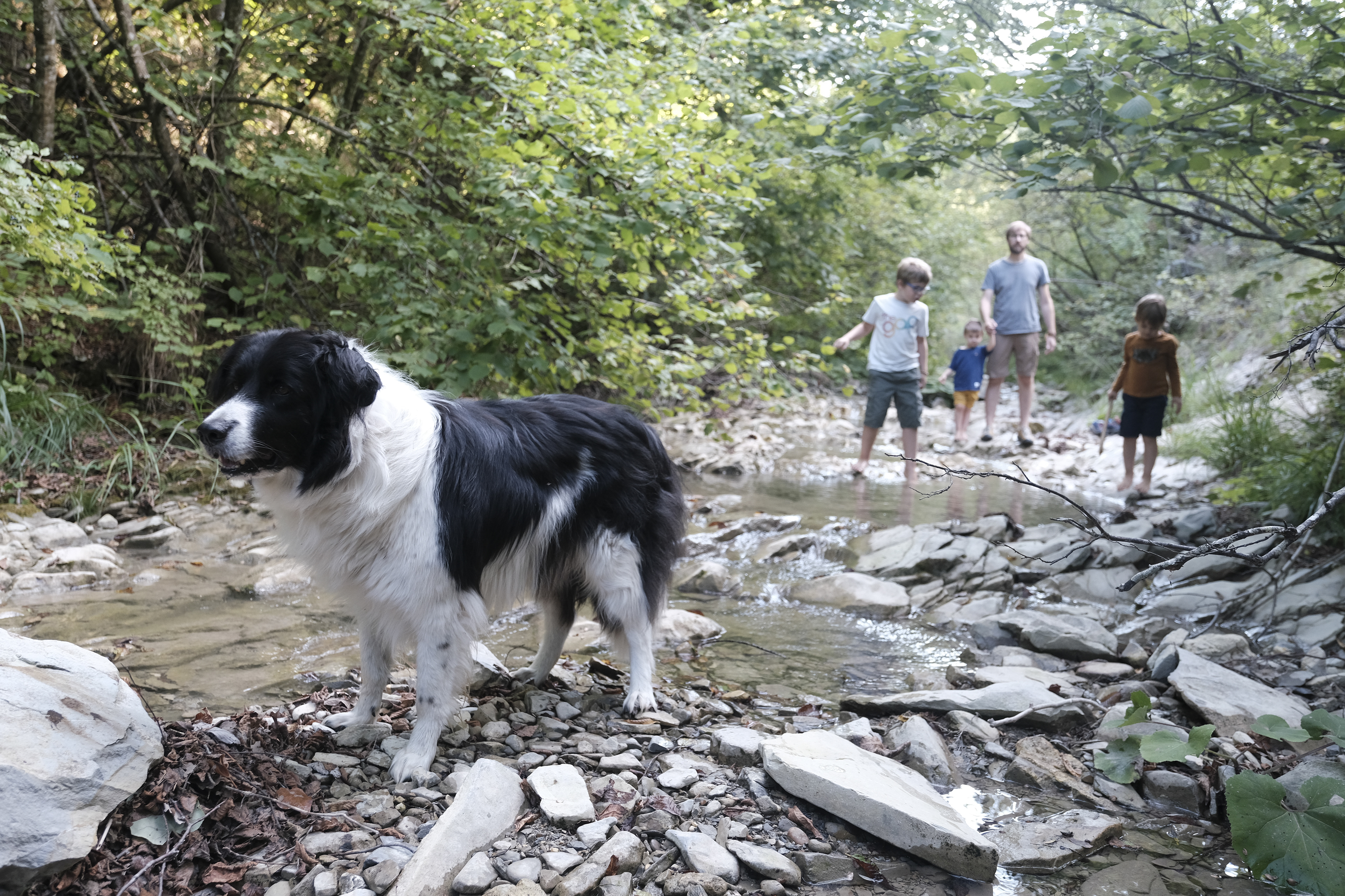 Maki in esplorazione