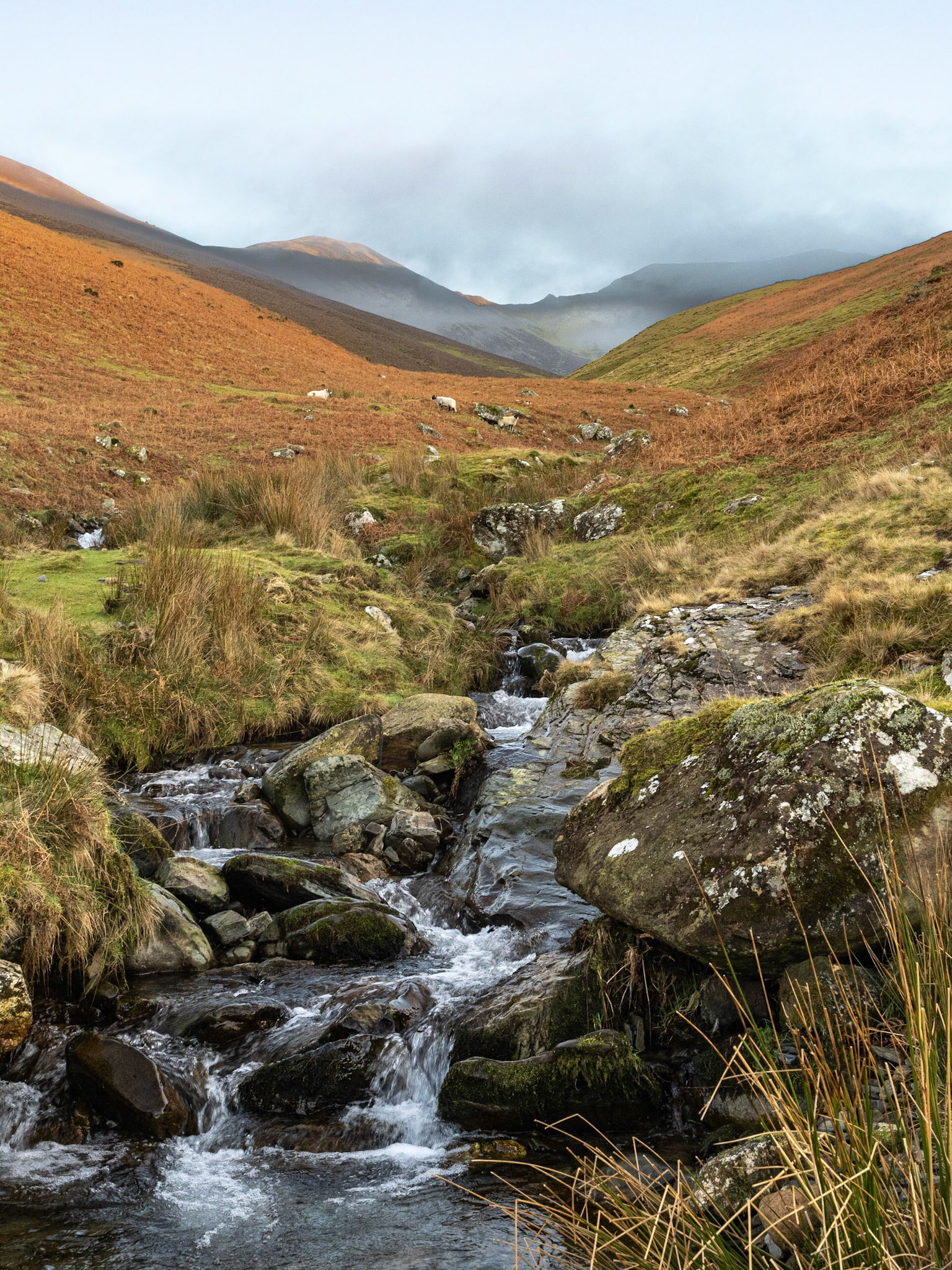 Hopegill Head via Ladyside Pike