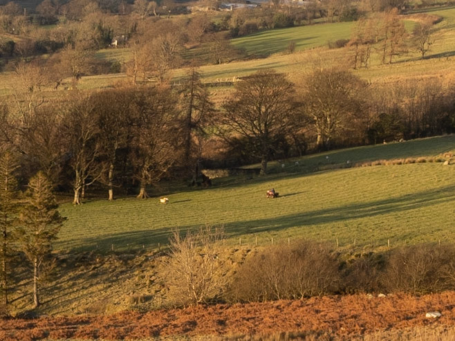 Hopegill Head via Ladyside Pike