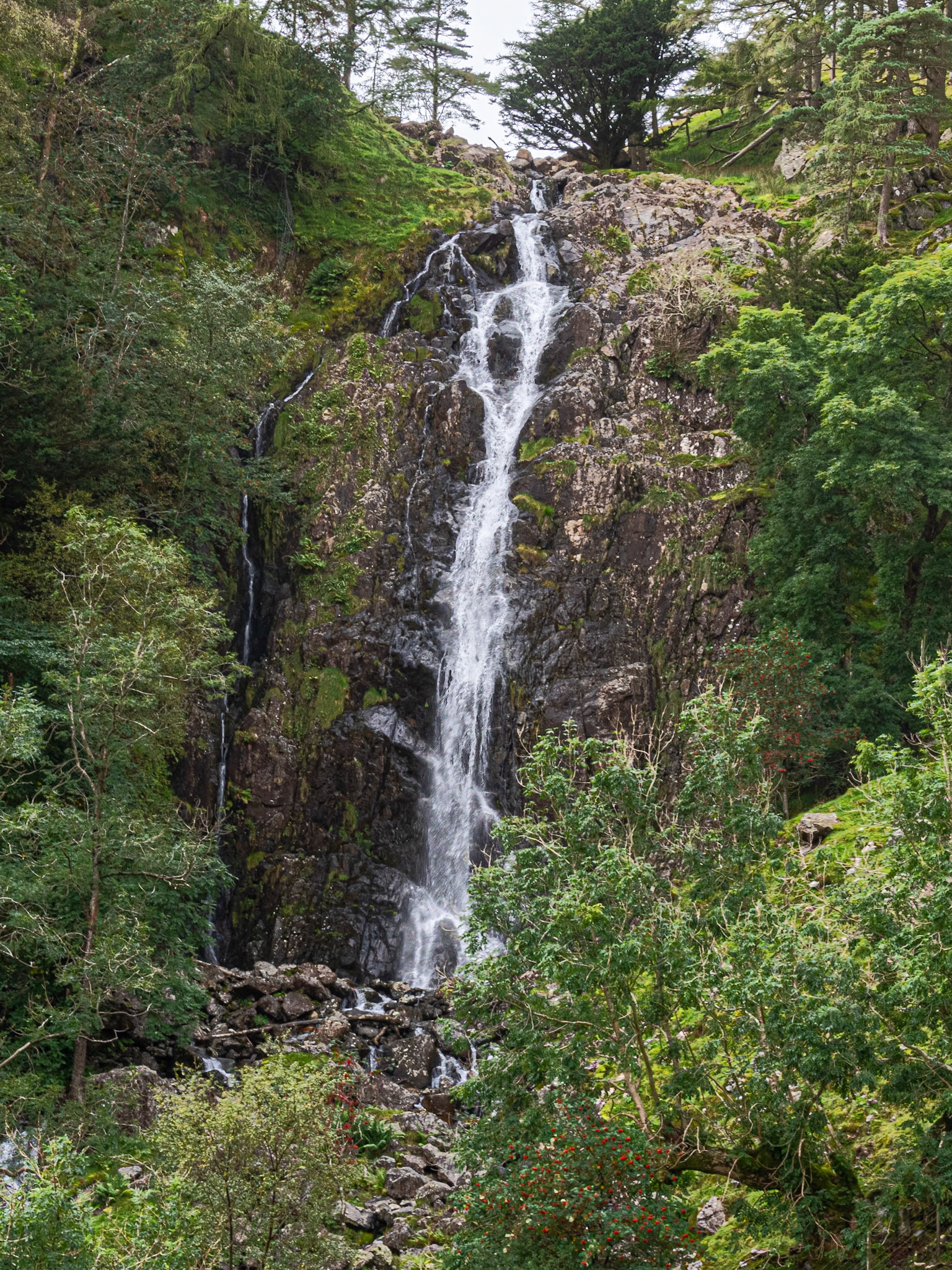 Taylor Gill Force
