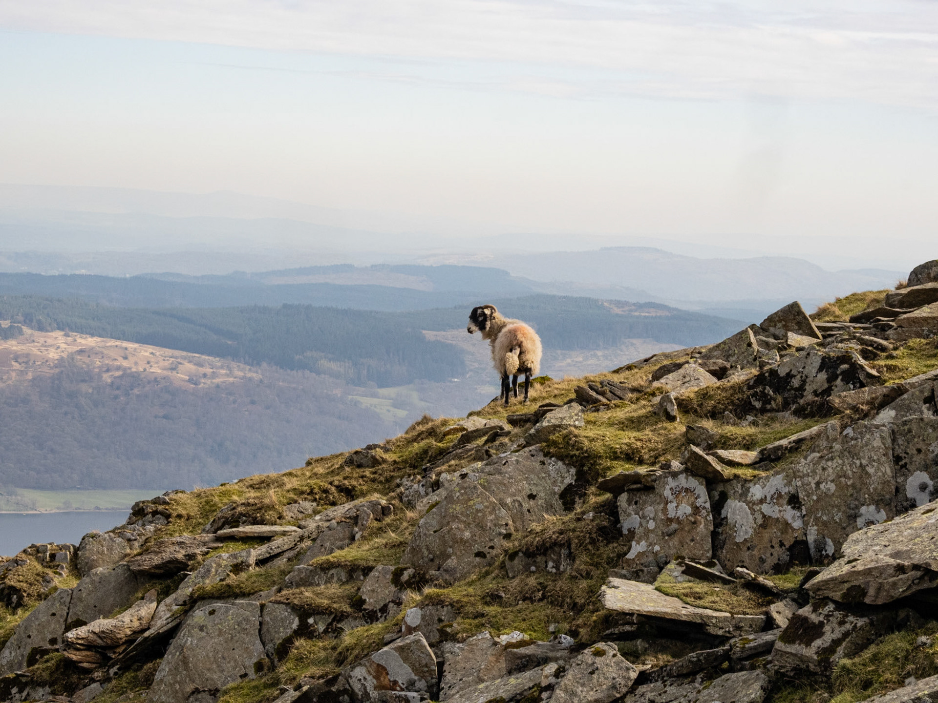 At Home on the Fells