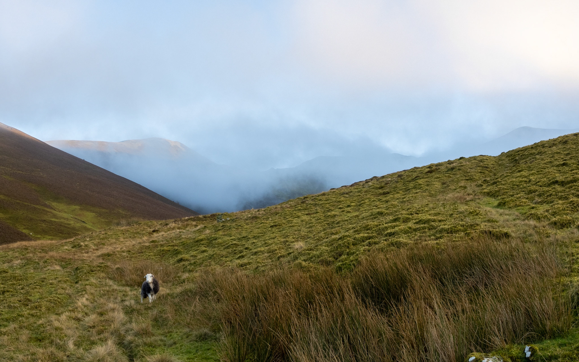 Hopegill Head via Ladyside Pike
