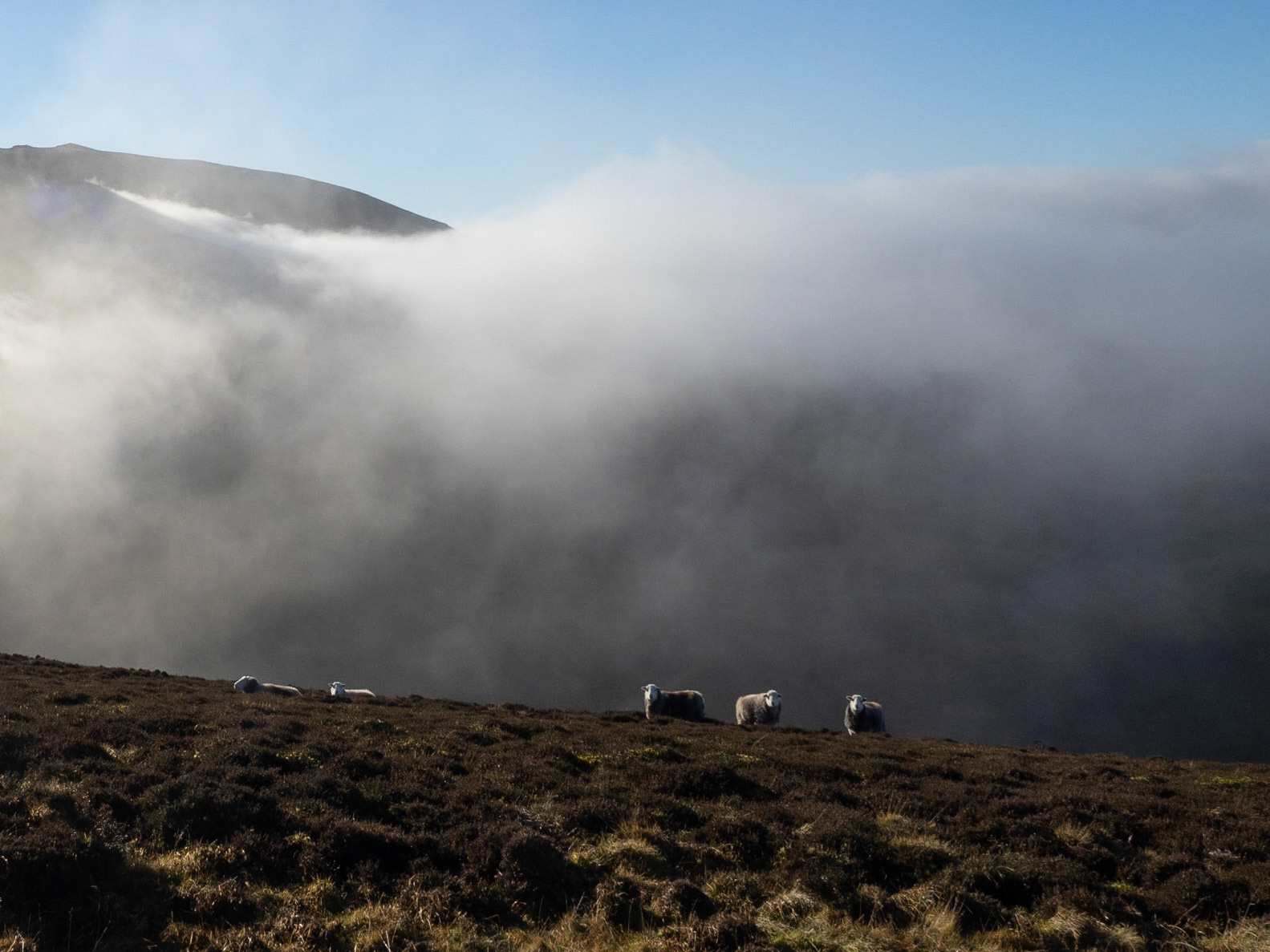 Hopegill Head via Ladyside Pike