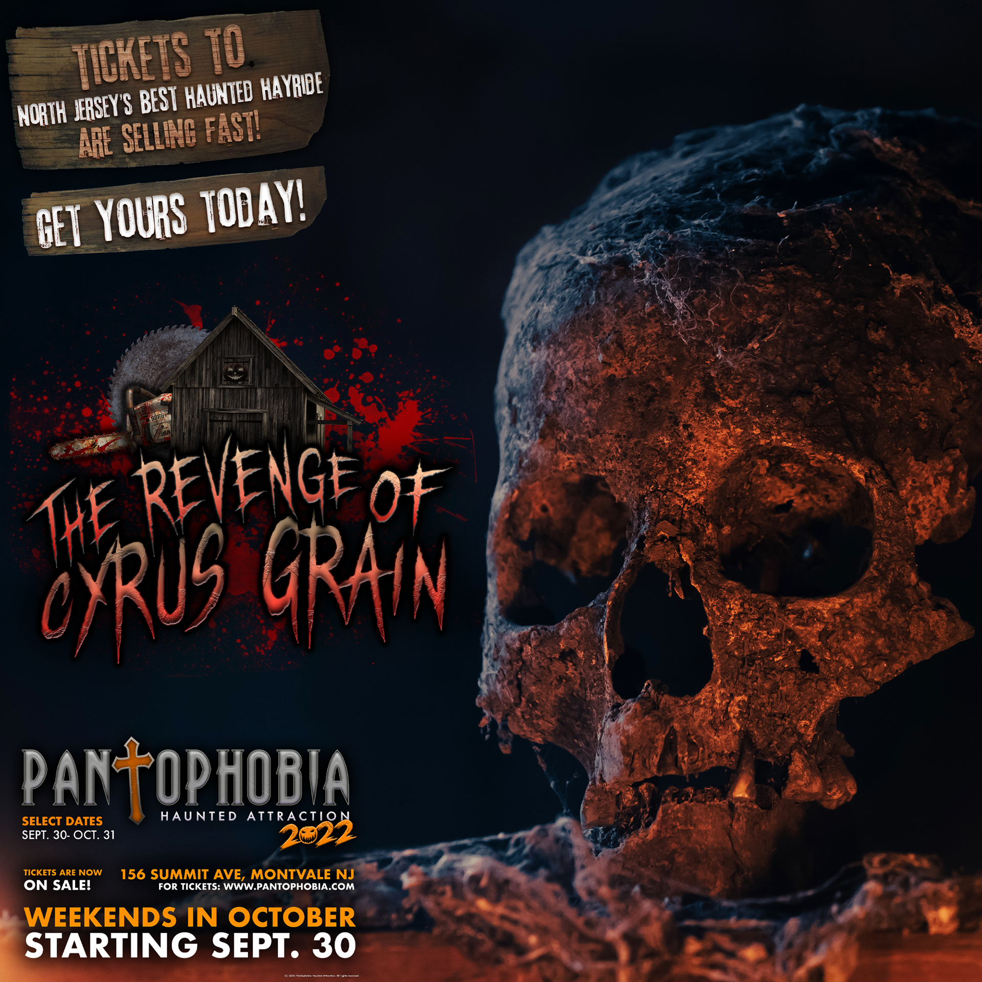 The 2021 Instagram and Facebook advertisement for Pantophobia's The Revenge of Cyrus Grain