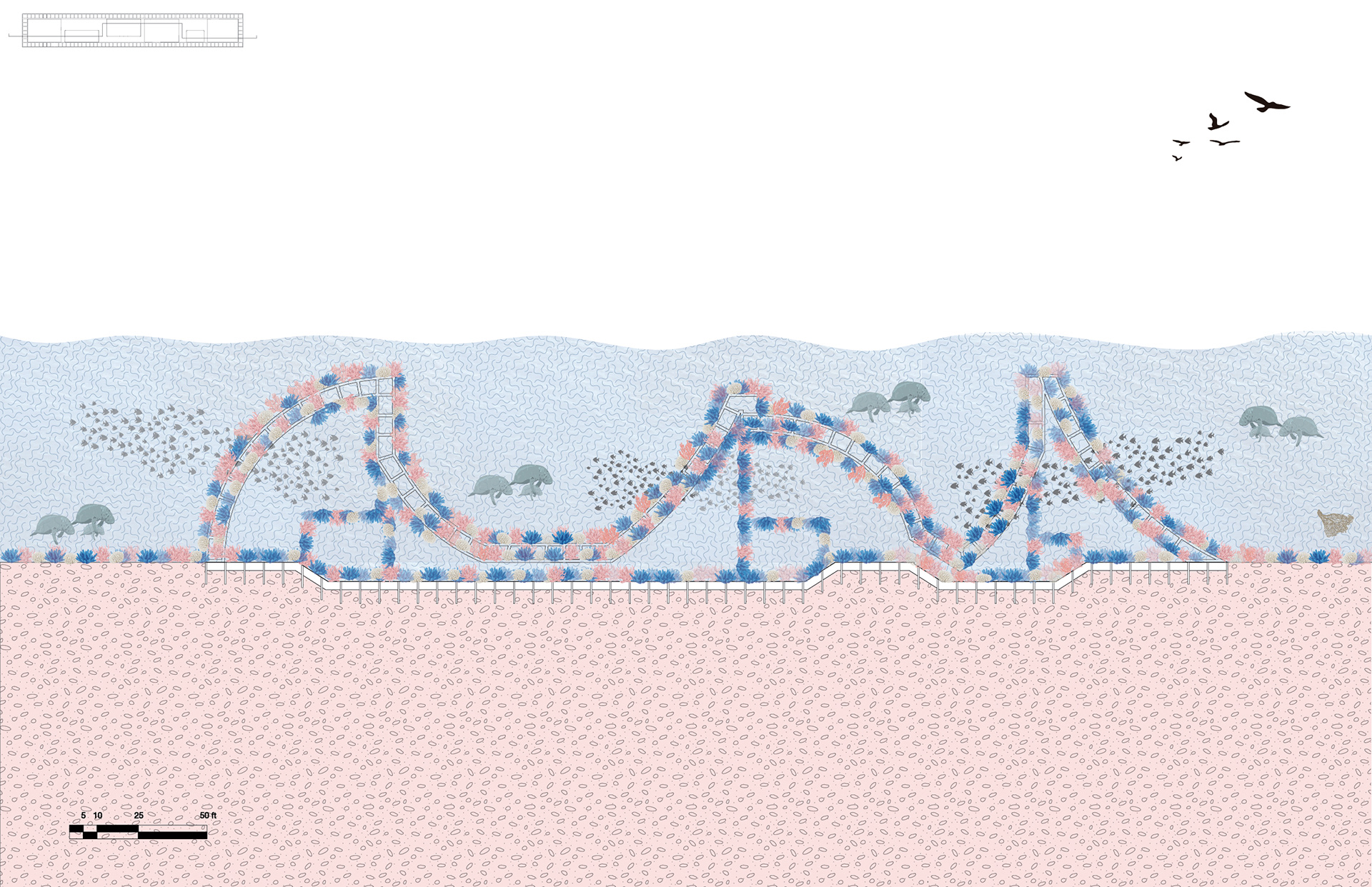 long section at time 3